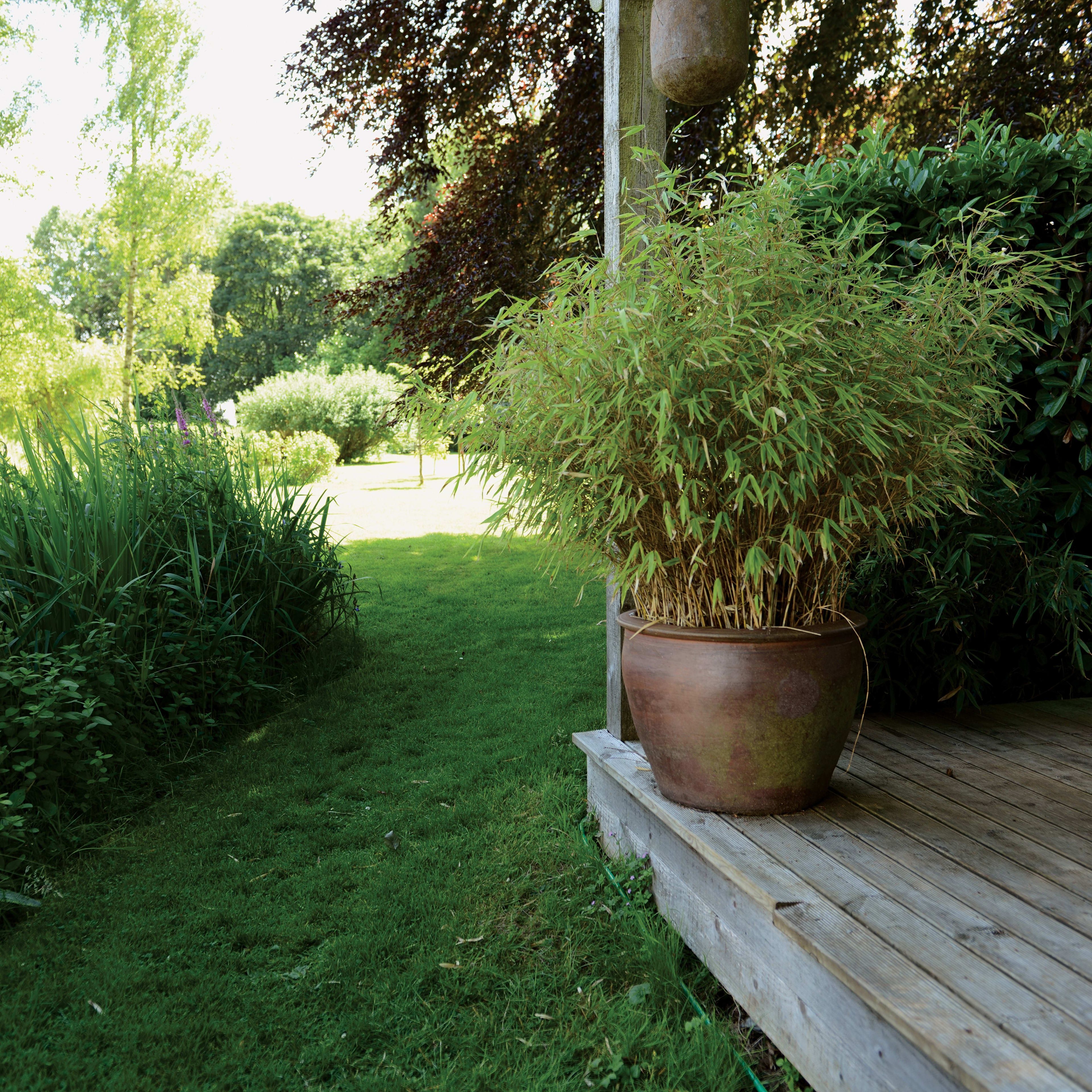 [object Object] image 5