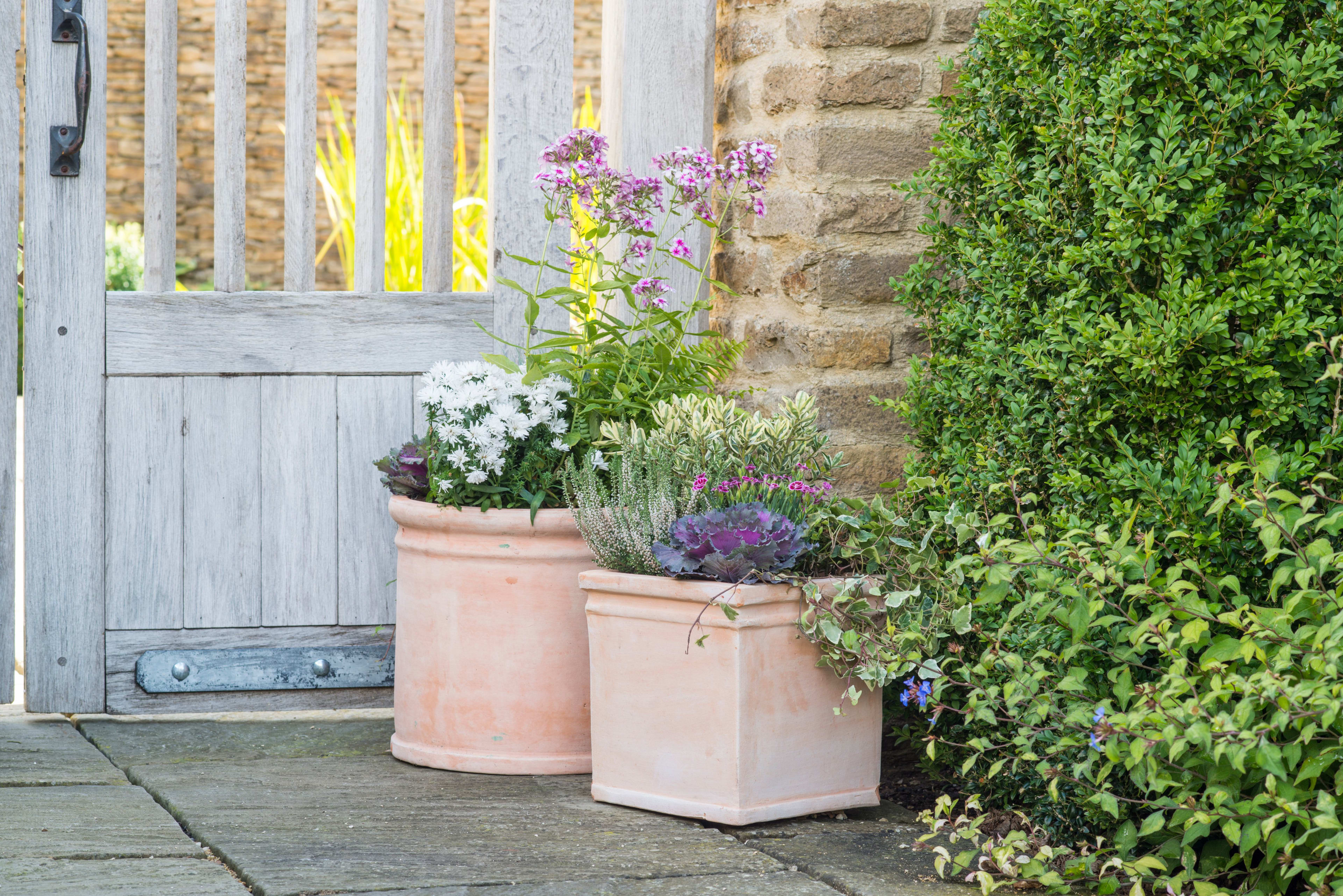 [object Object] image 2