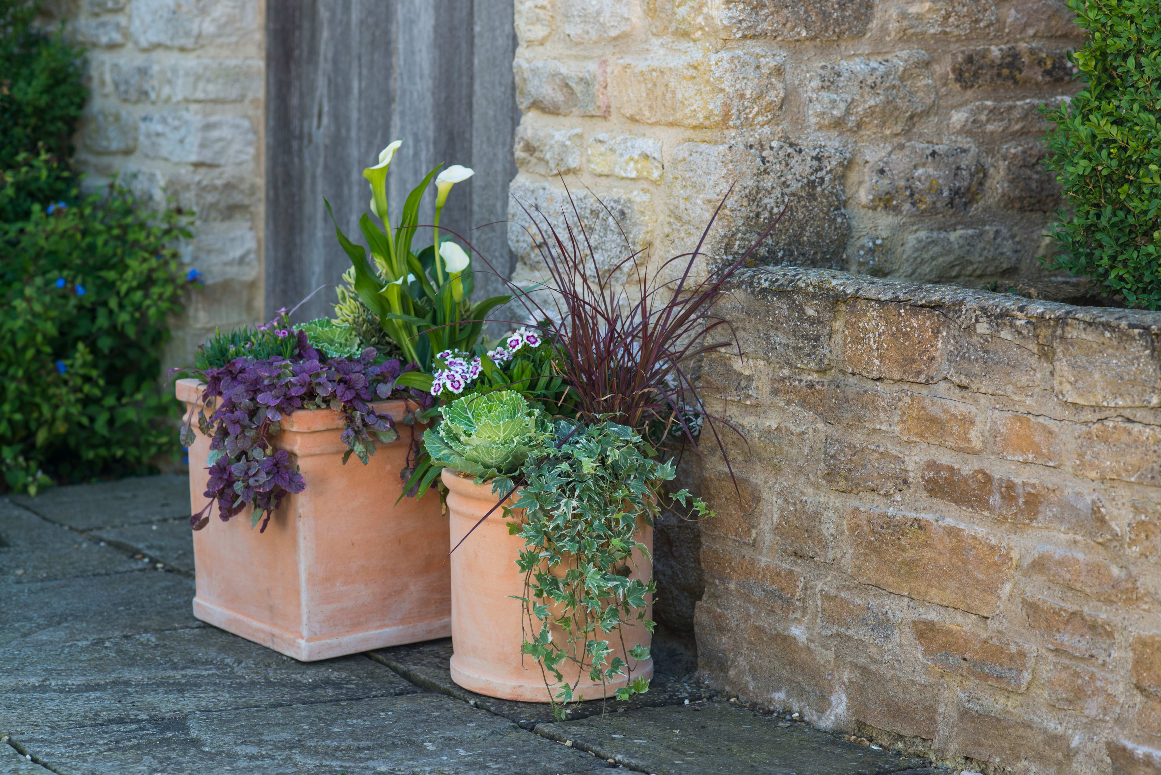 [object Object] image 3