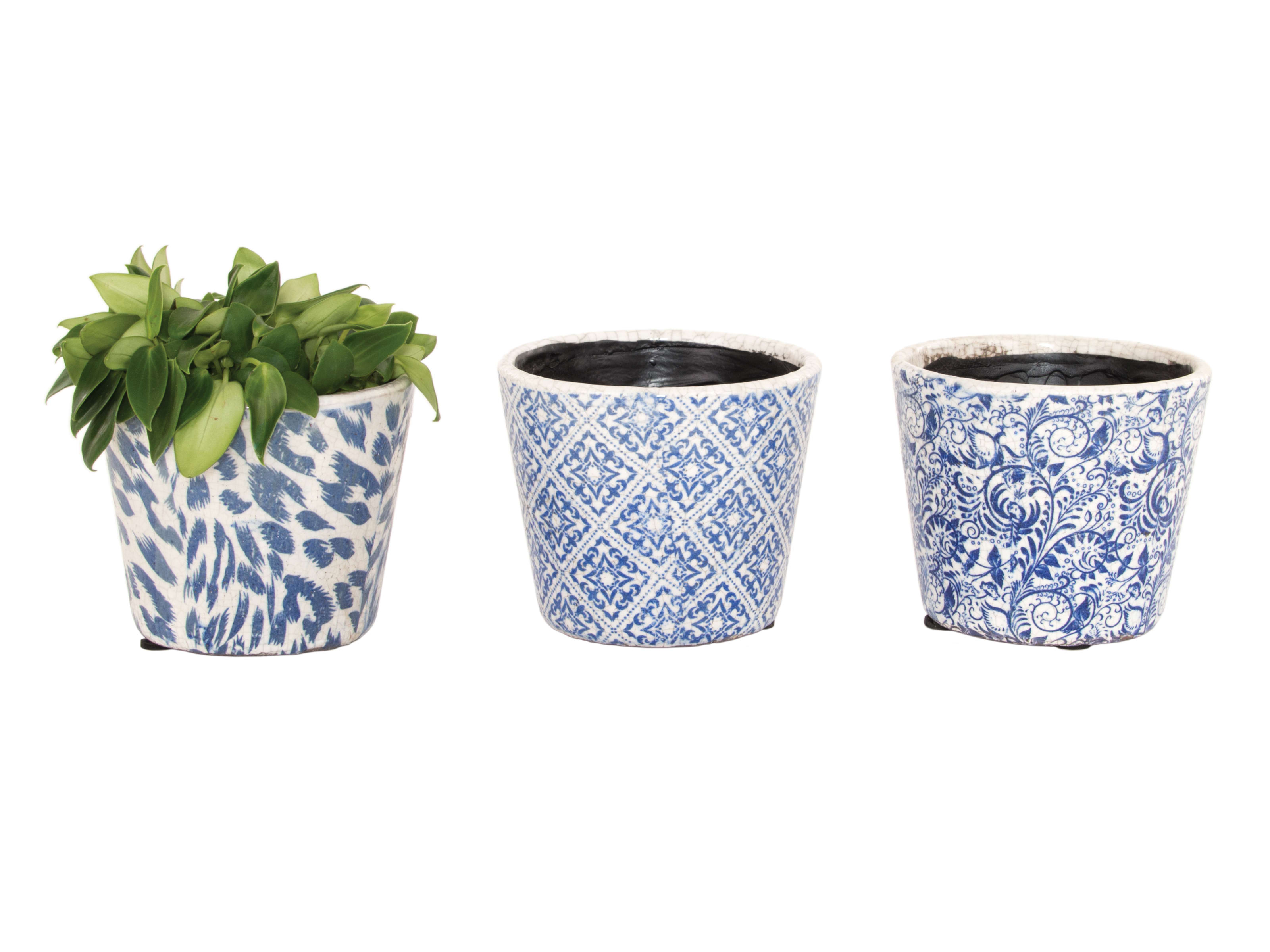 [object Object] image 0