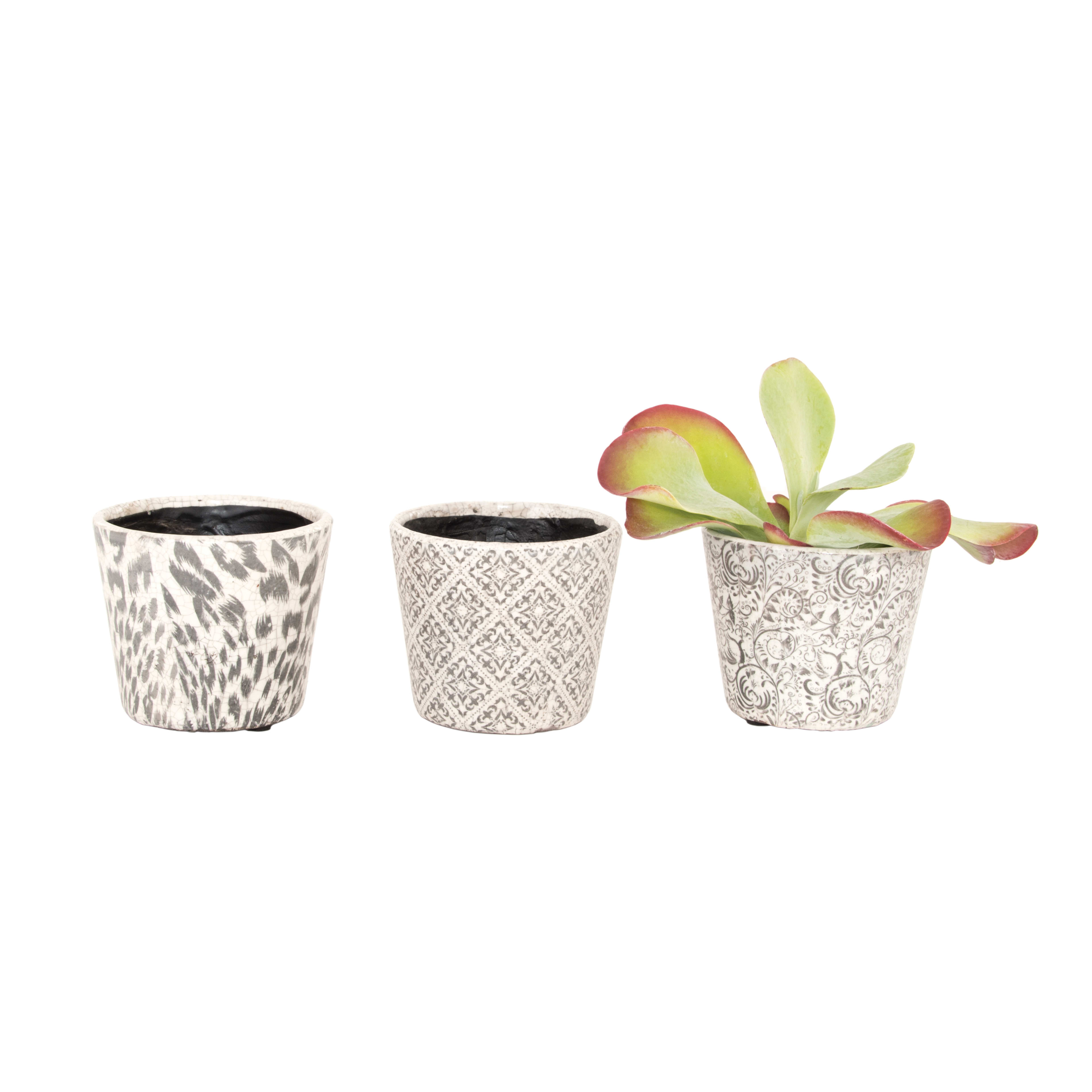 [object Object] image 0