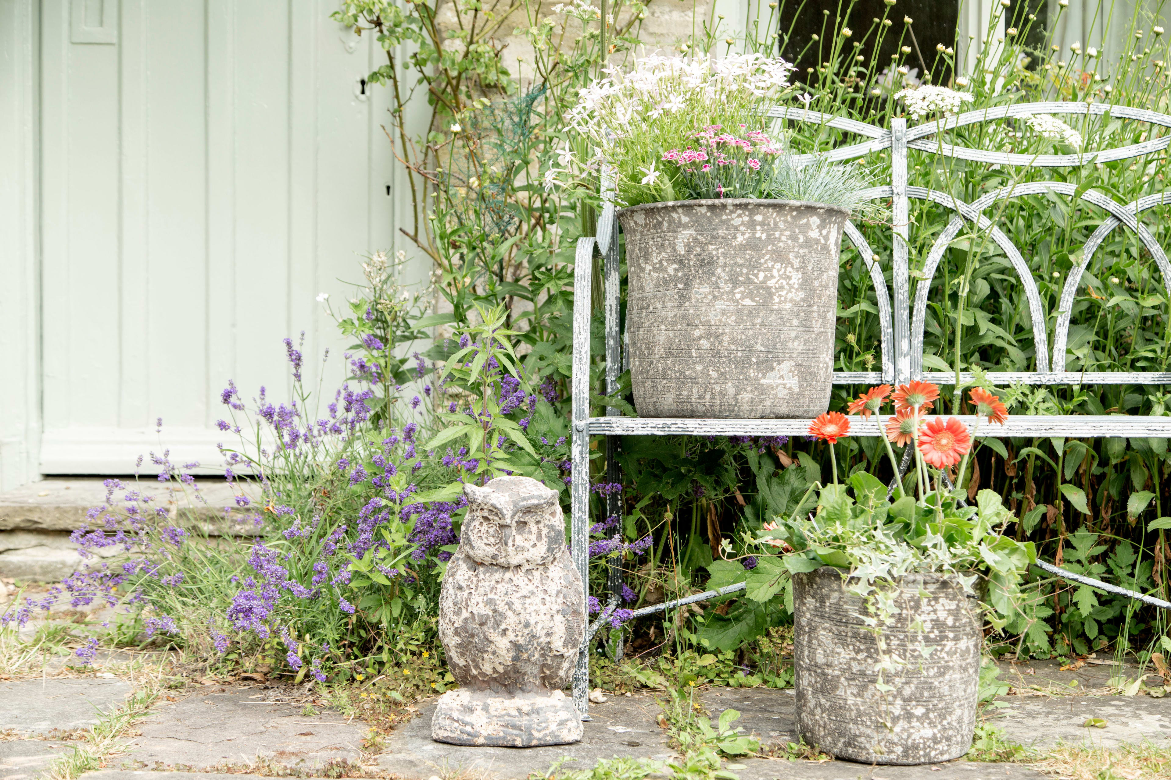 [object Object] image 2