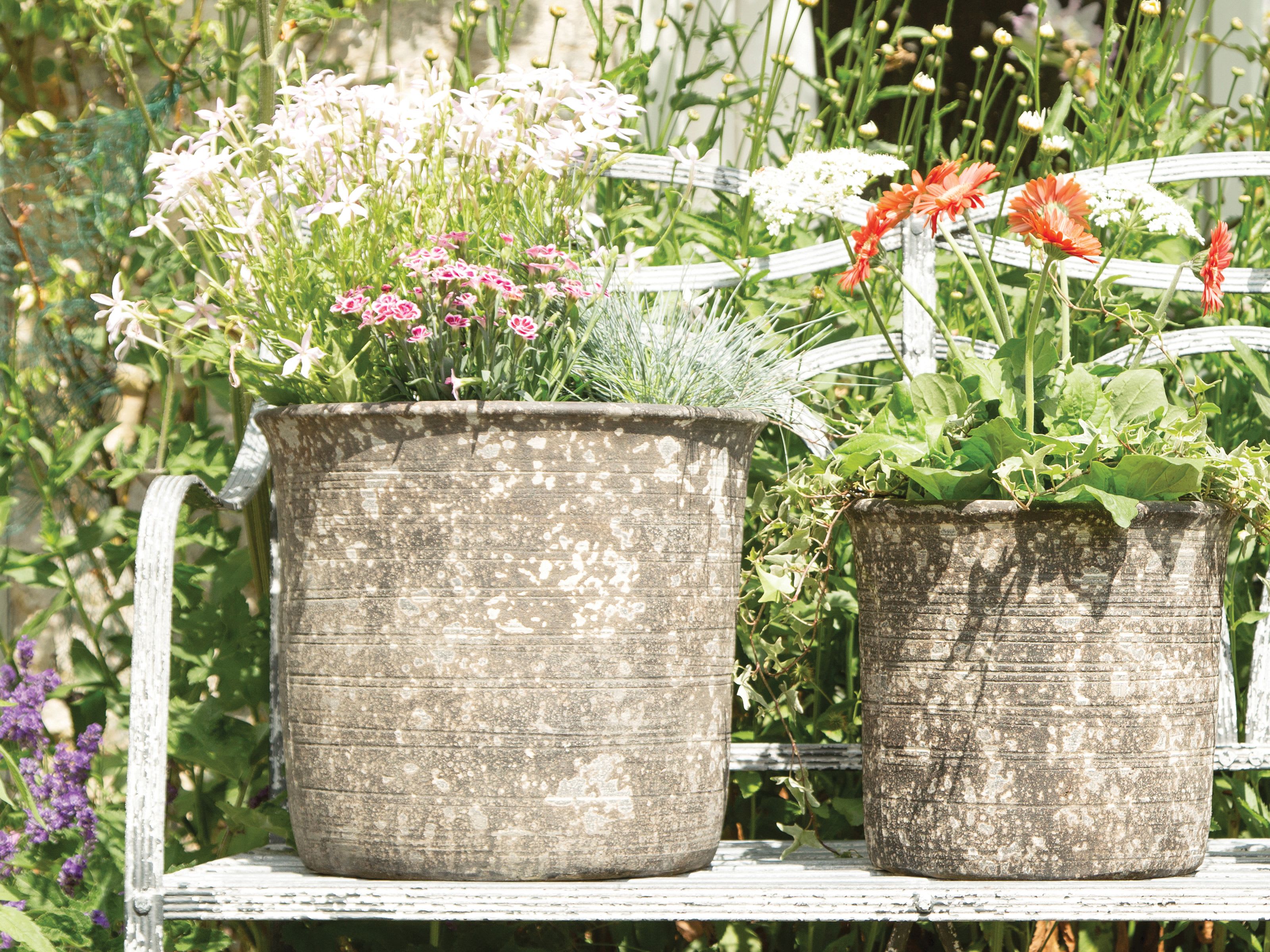 [object Object] image 3