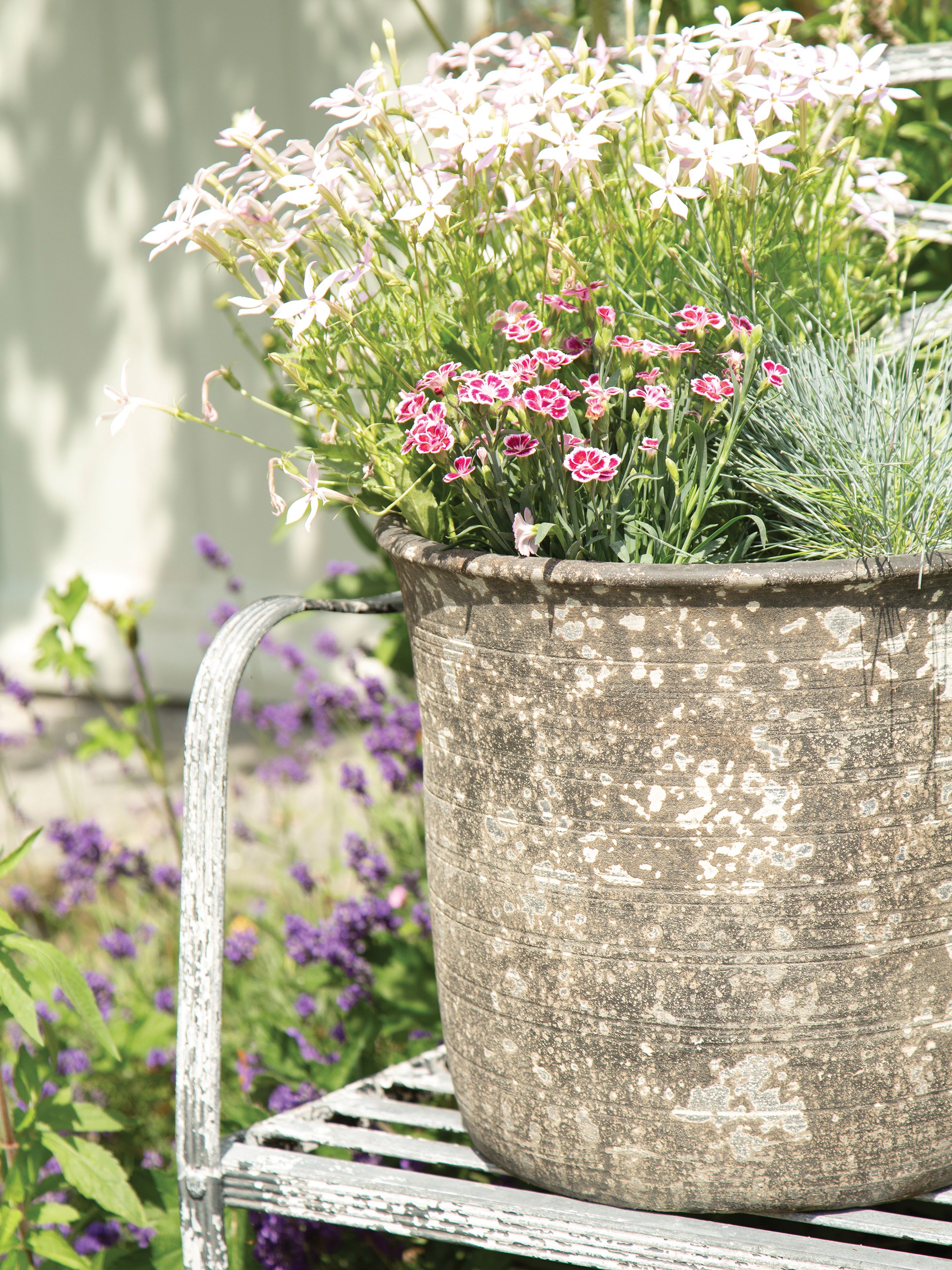 [object Object] image 4