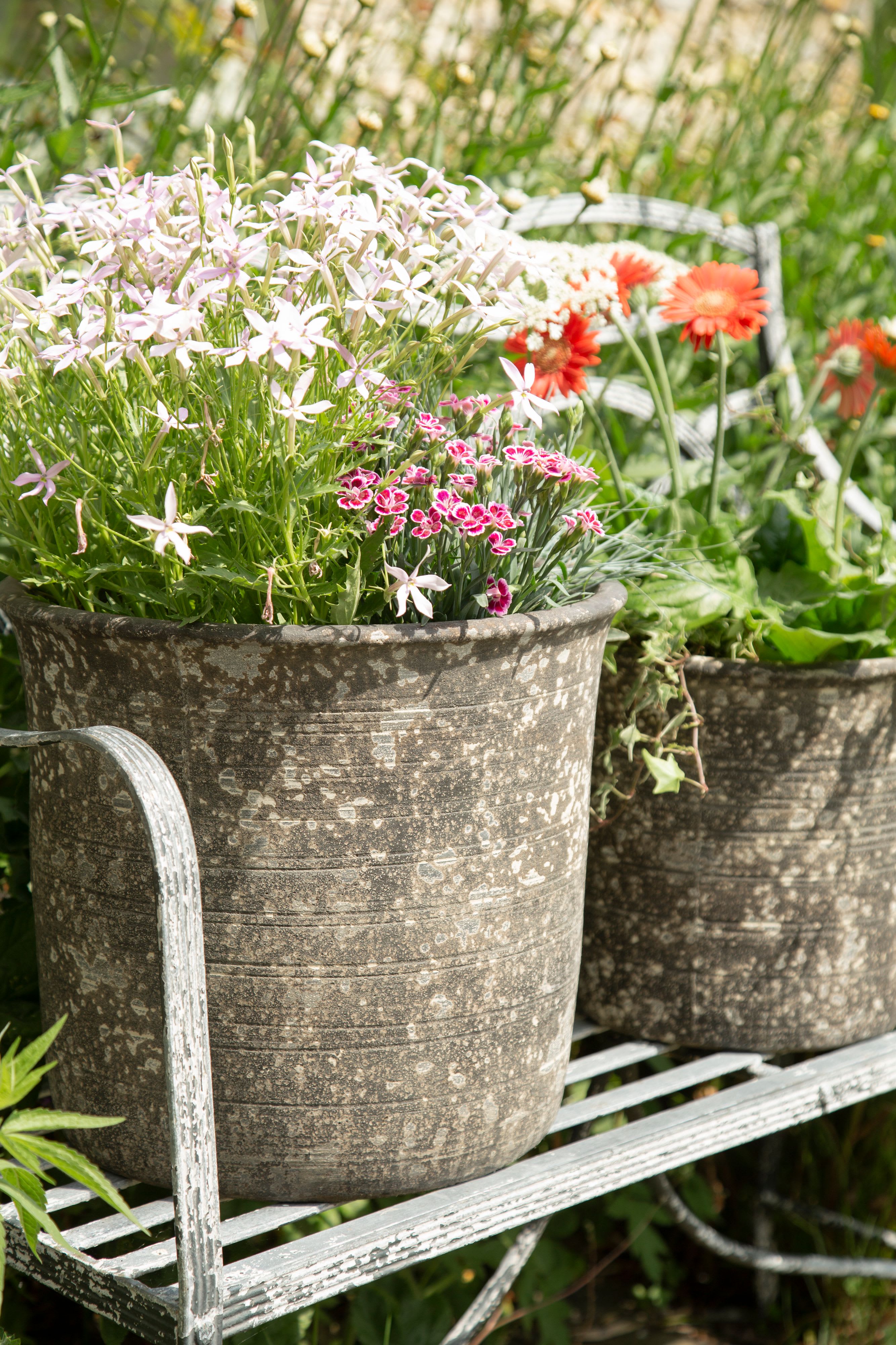 [object Object] image 5