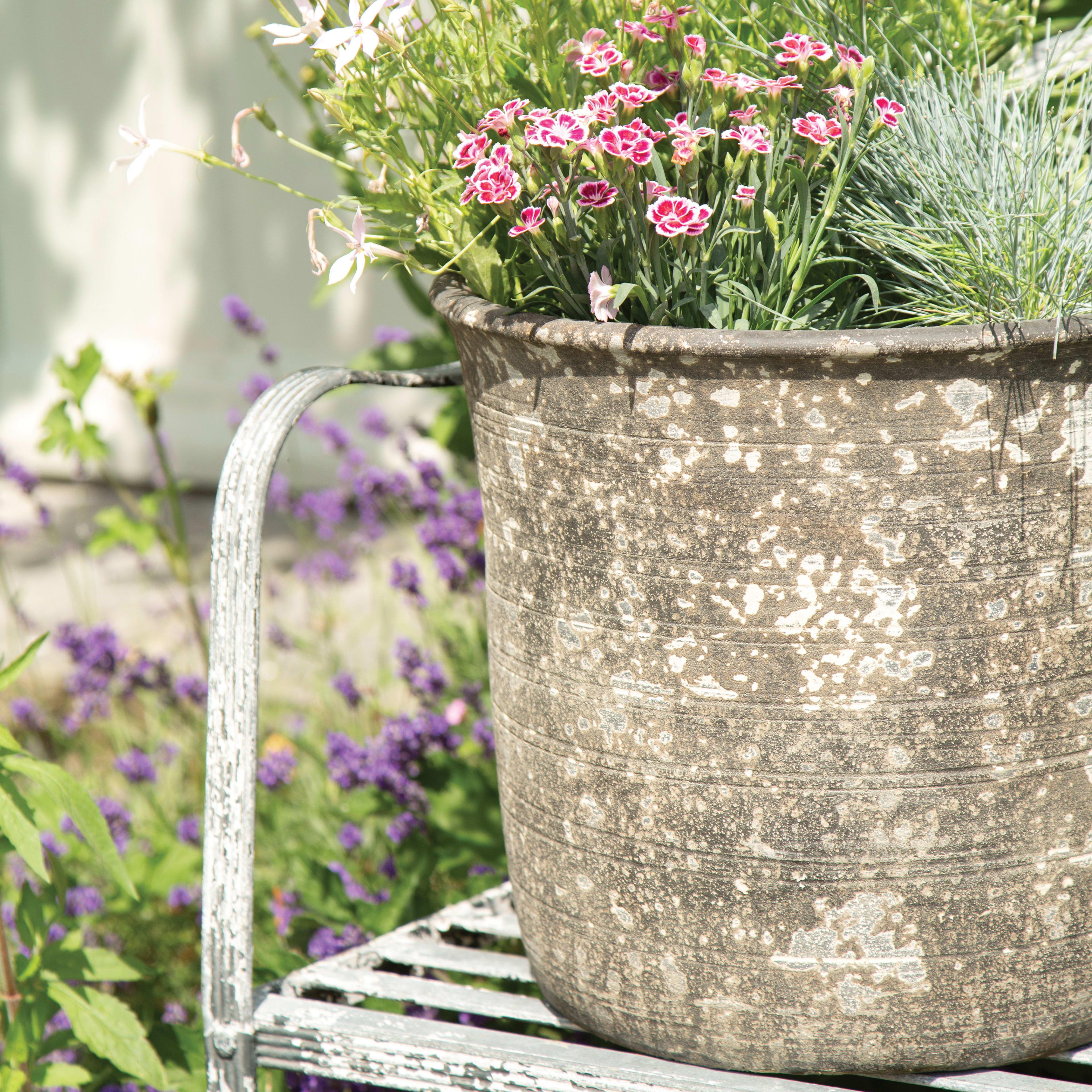 [object Object] image 6