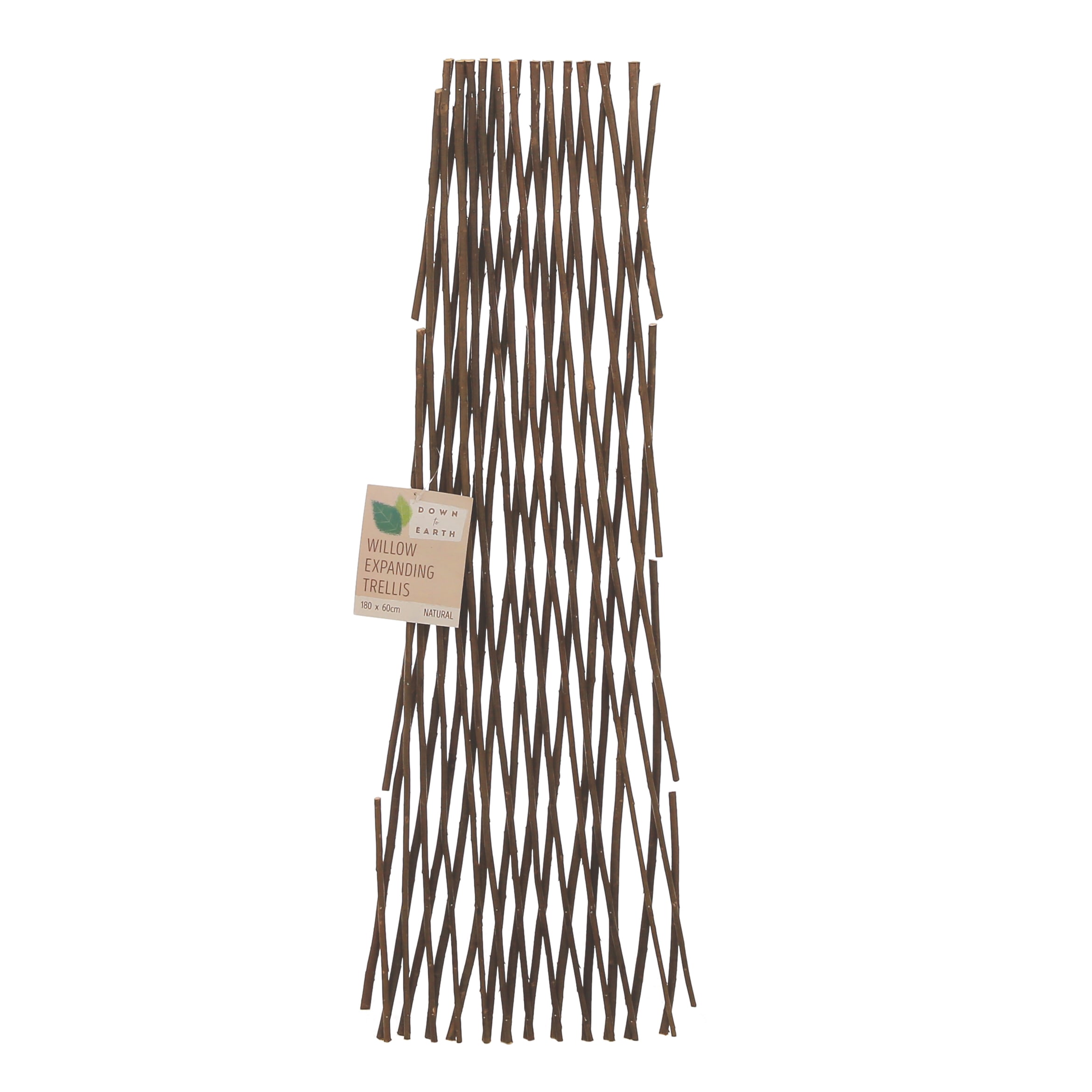 [object Object] image 1