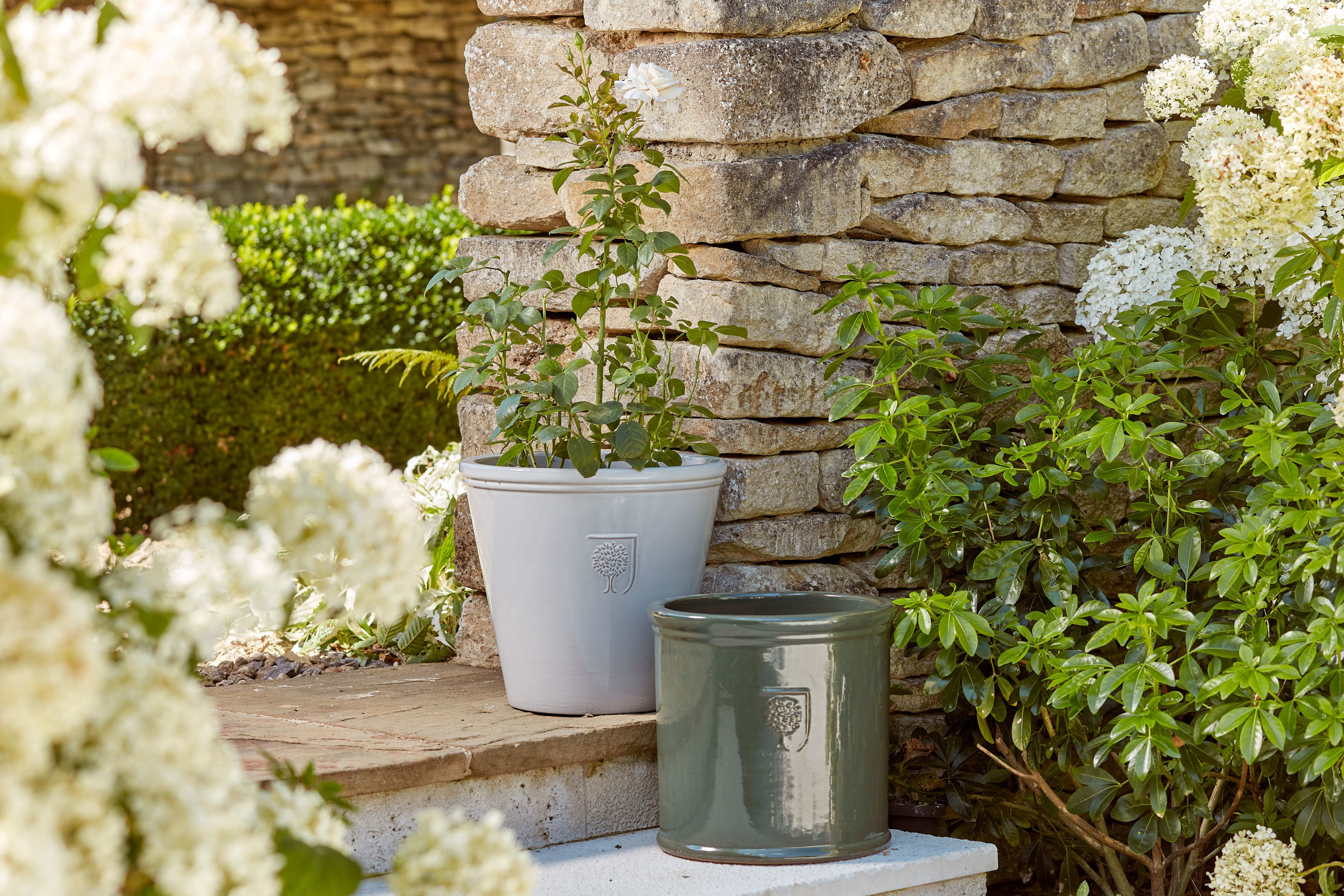 [object Object] image 7