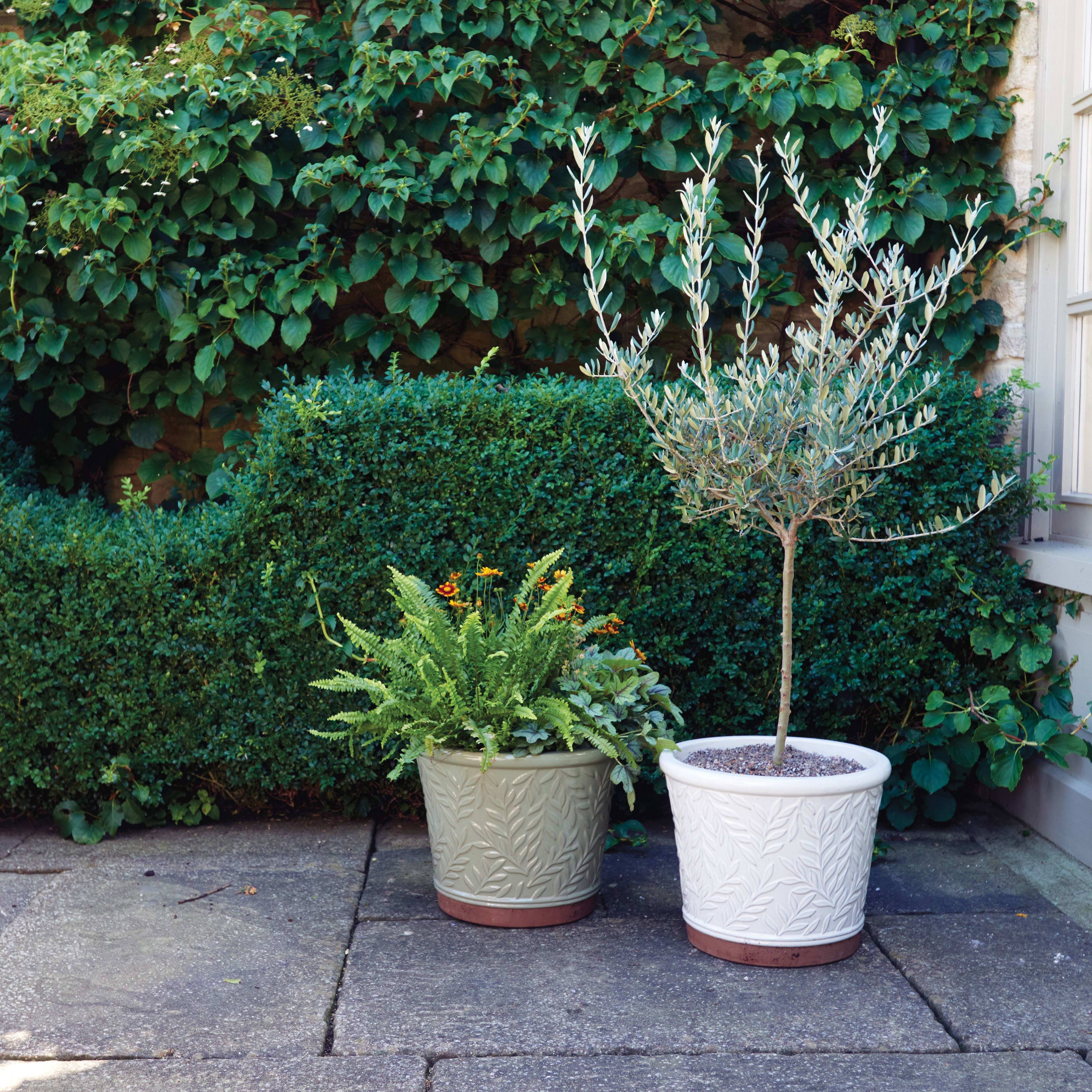 A green and a white glazed William Morris design flowerpots planted up on a patio