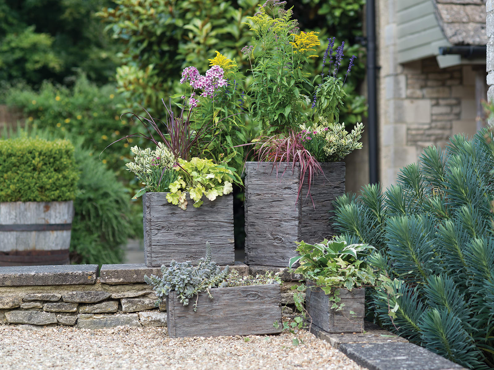 [object Object] image 11