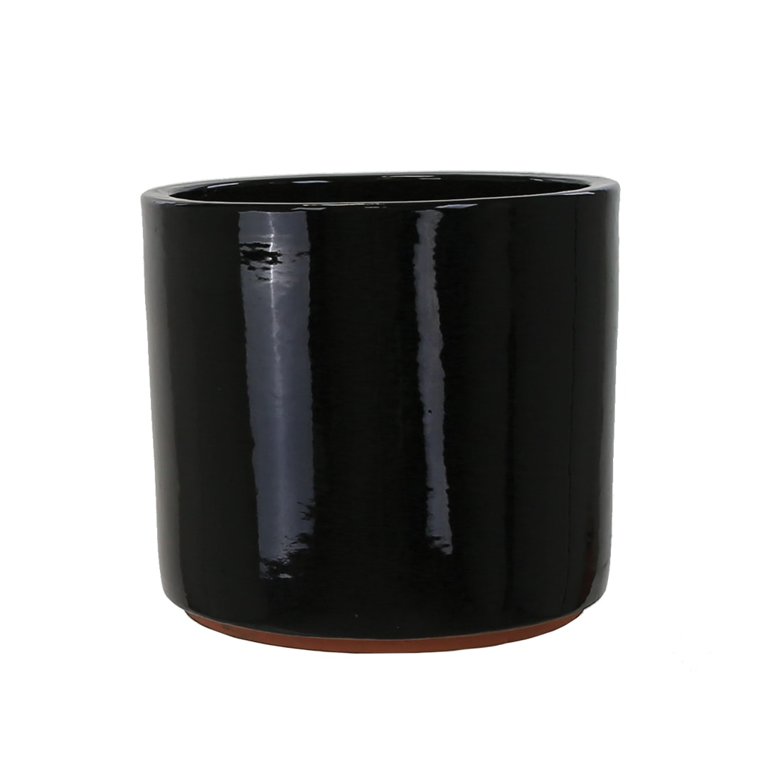 [object Object] image 2