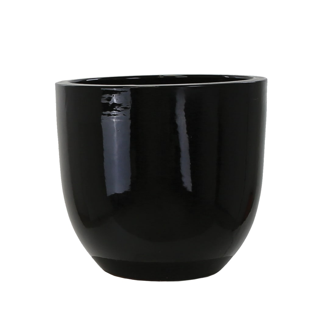 [object Object] image 4