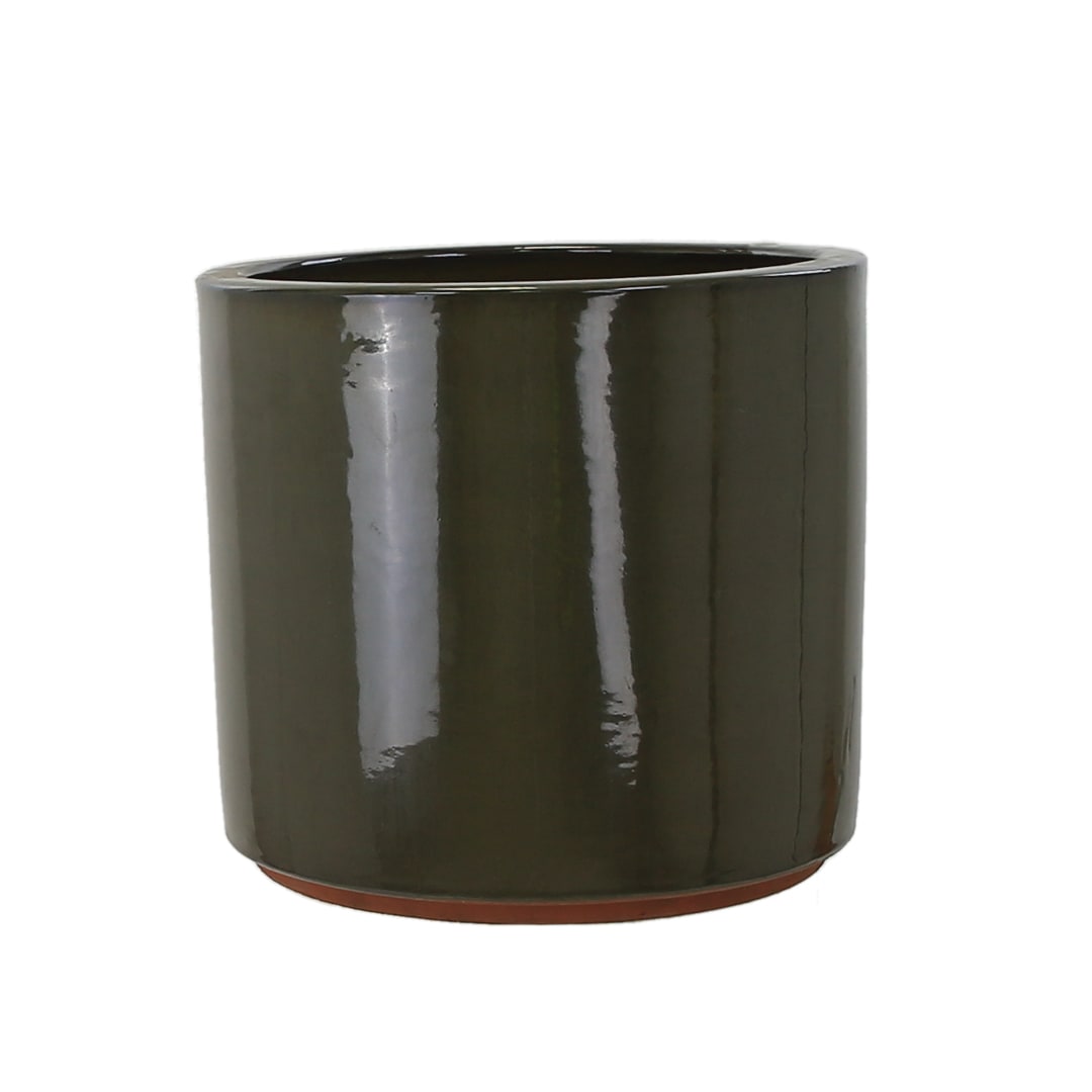 [object Object] image 5