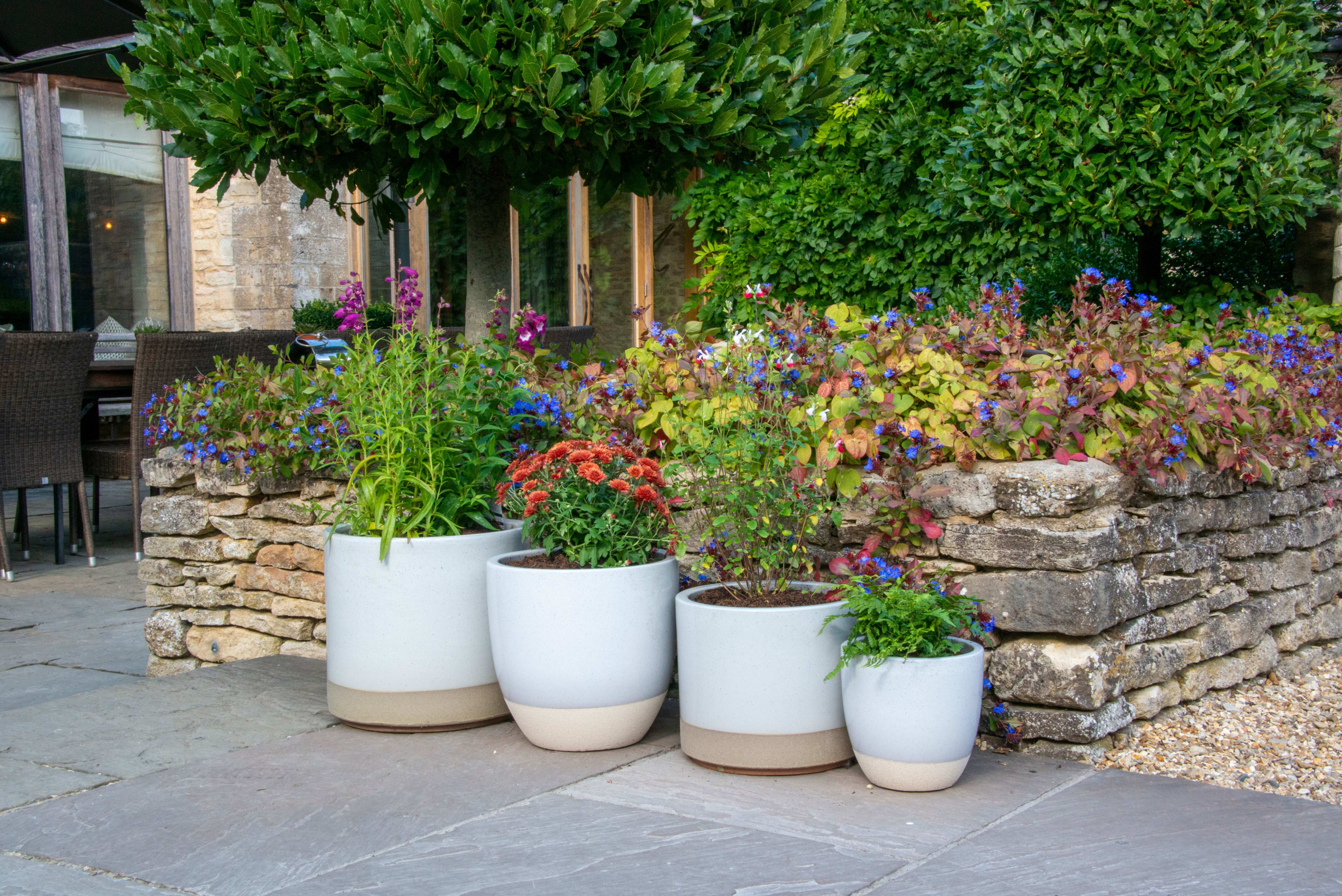 [object Object] image 6