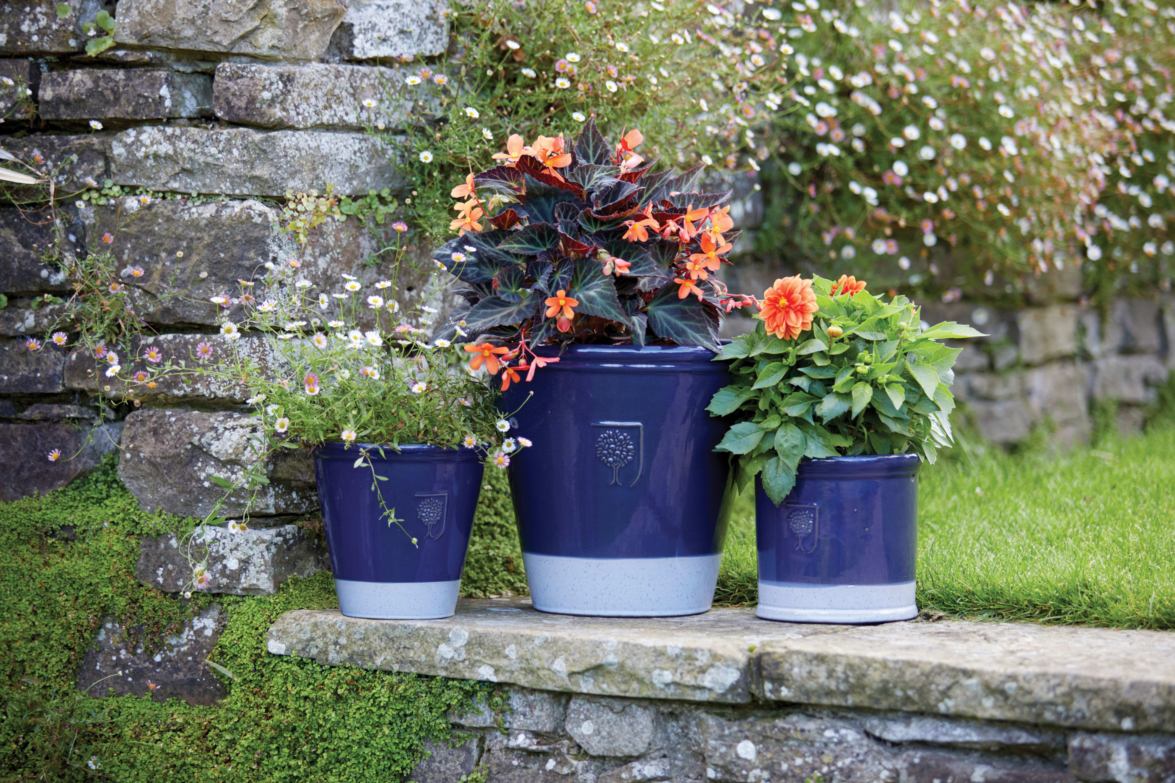 [object Object] image 12