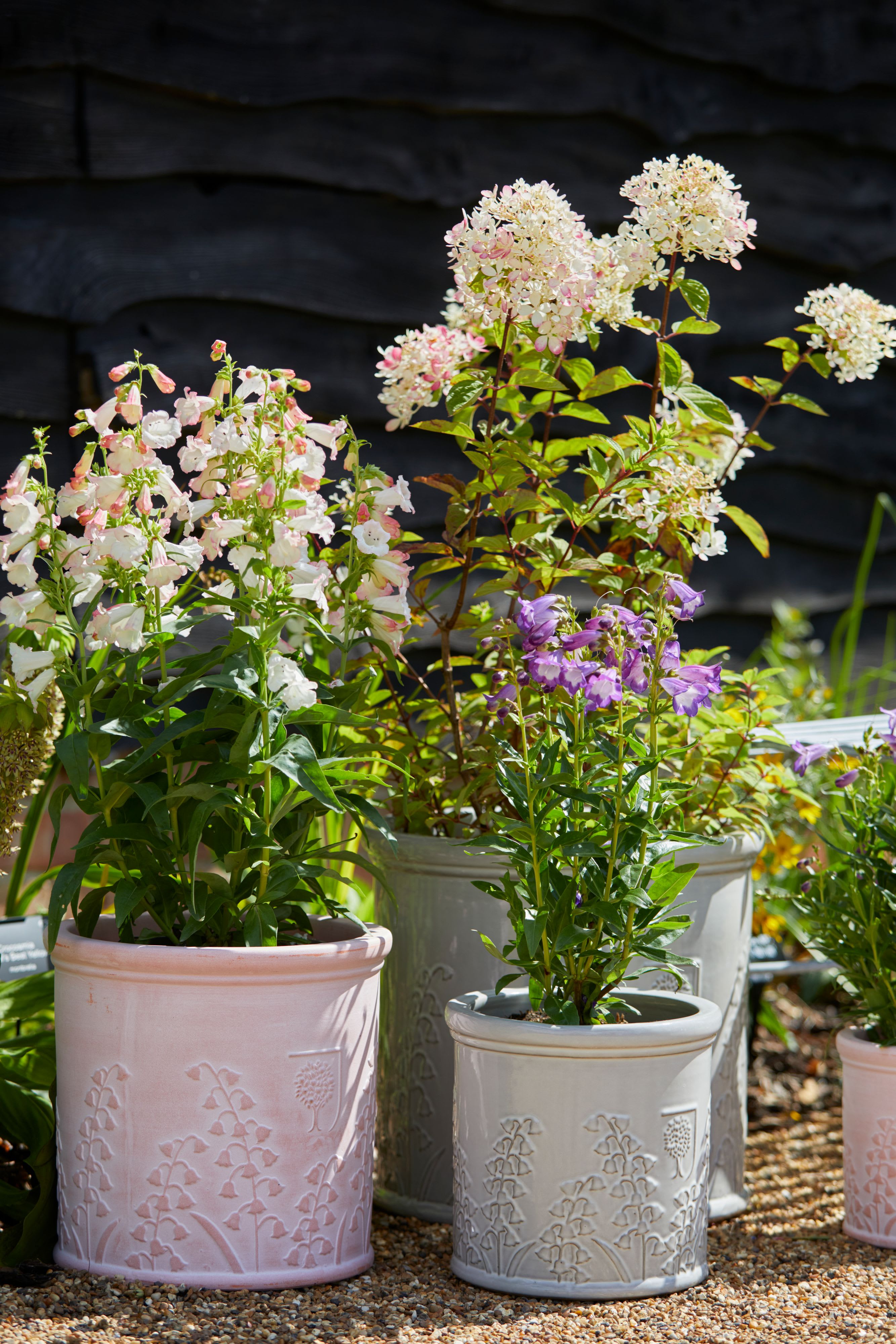 [object Object] image 6