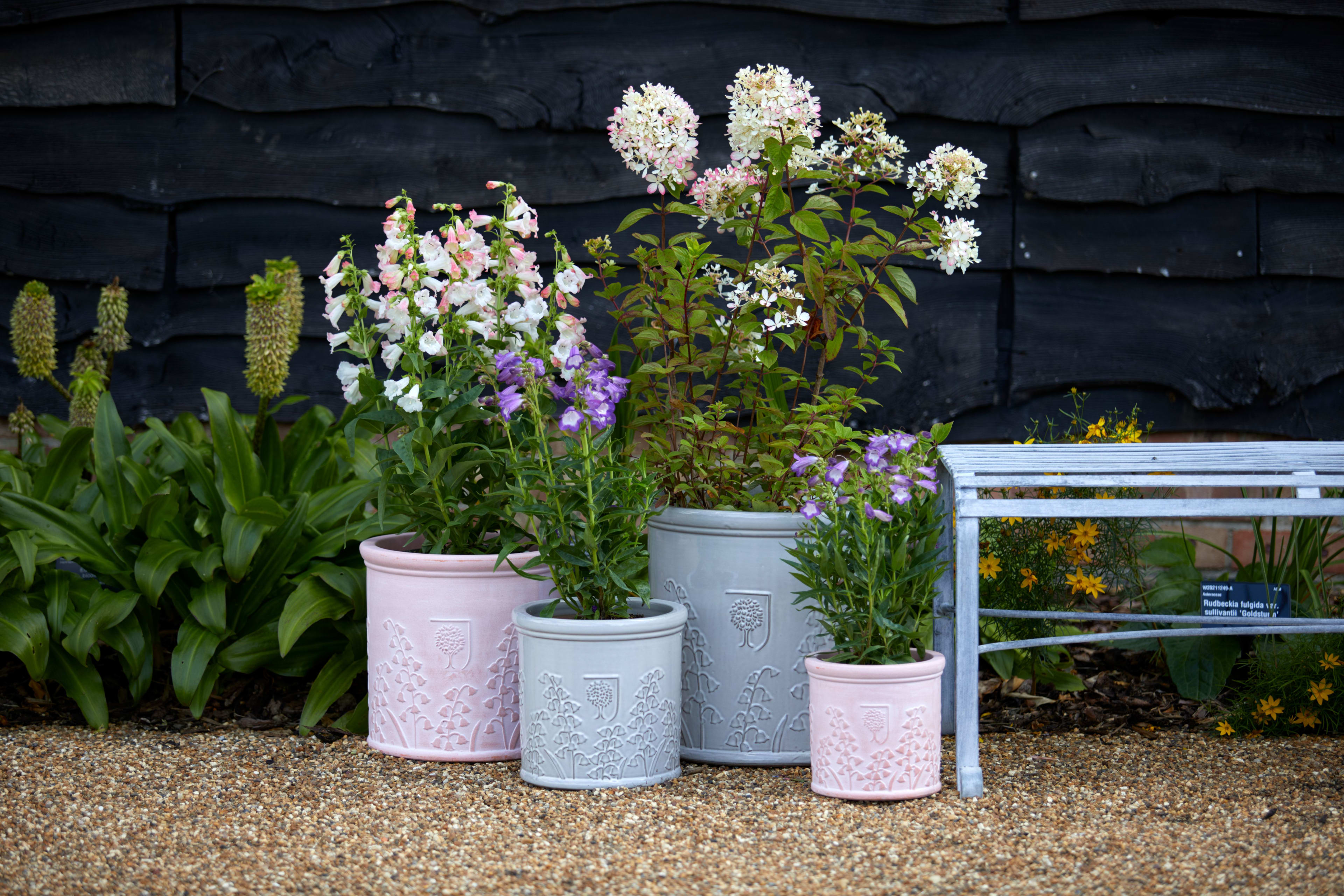 [object Object] image 7