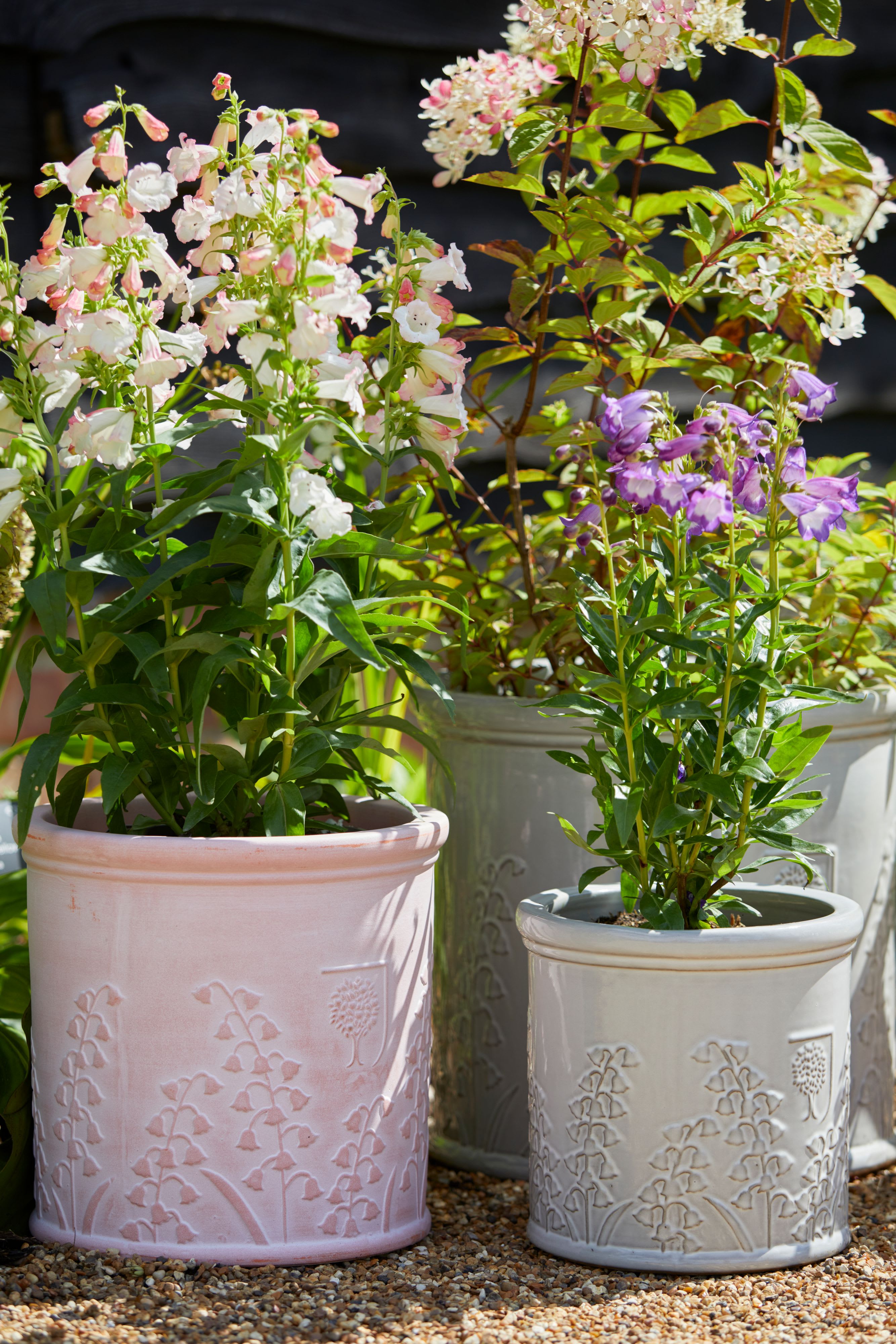 [object Object] image 8