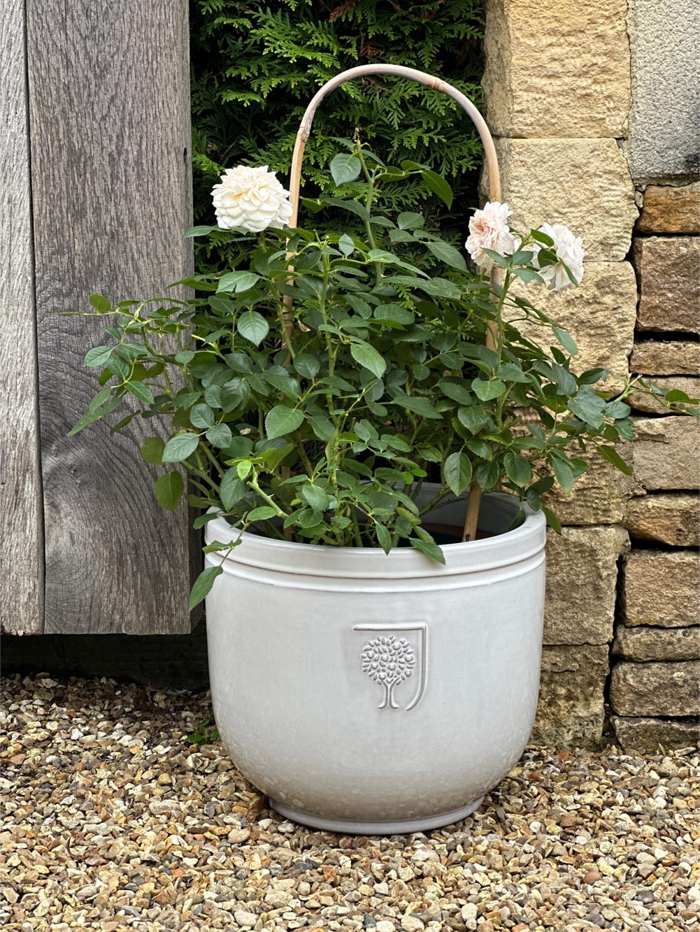 [object Object] image 1