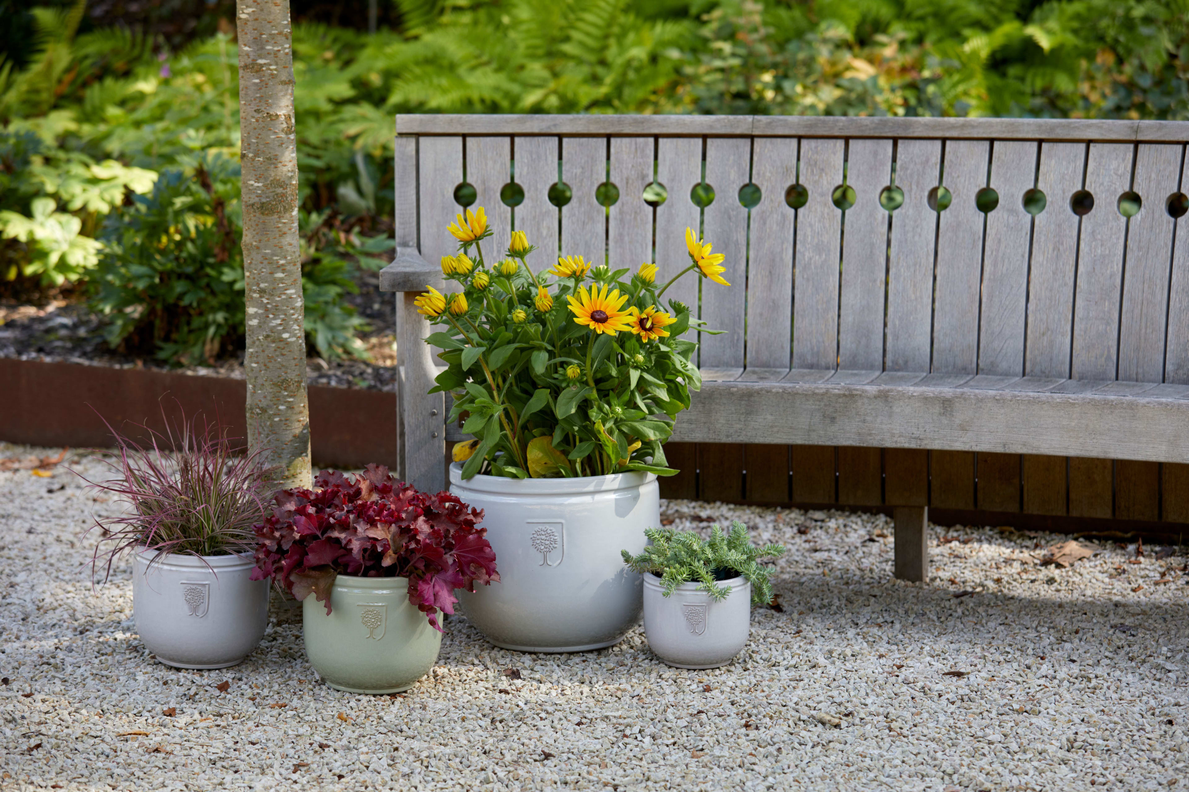 [object Object] image 2