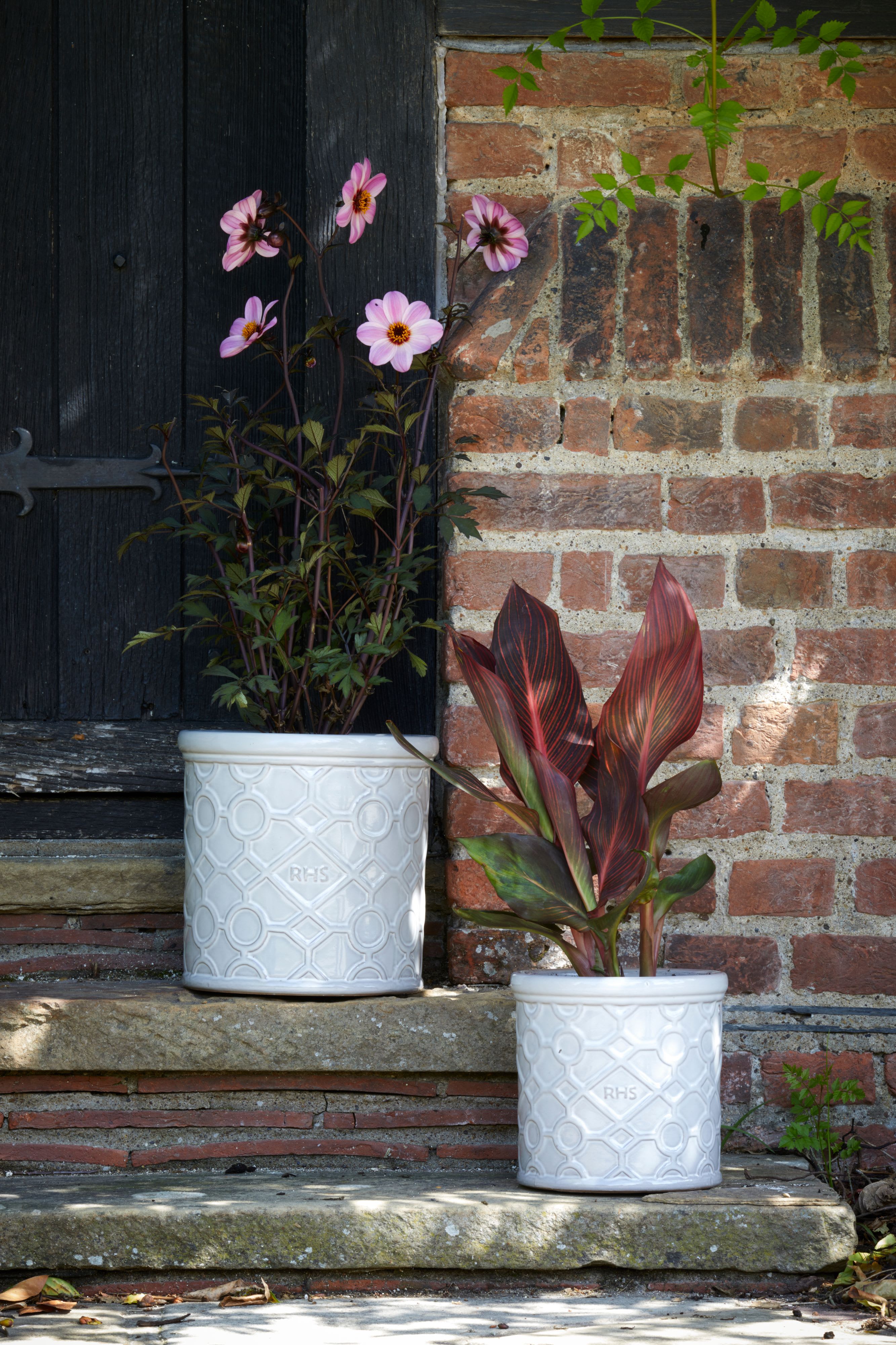 [object Object] image 6