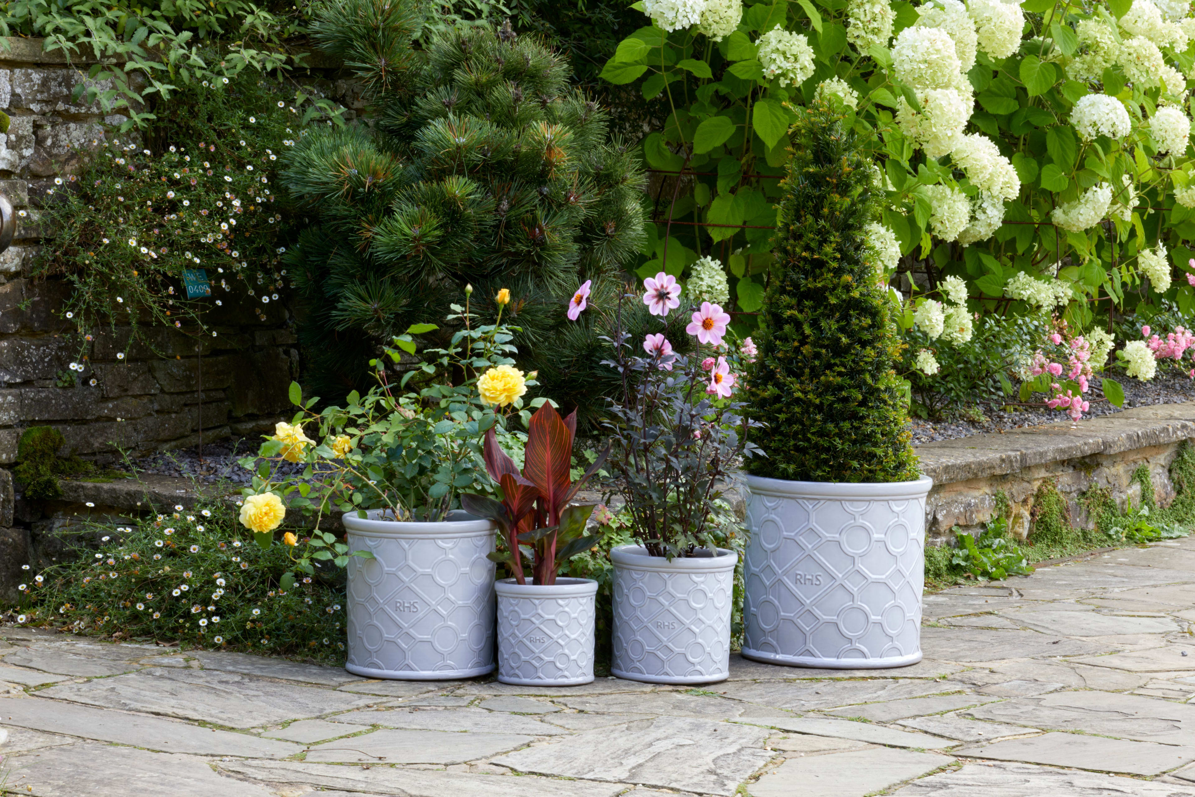 [object Object] image 7