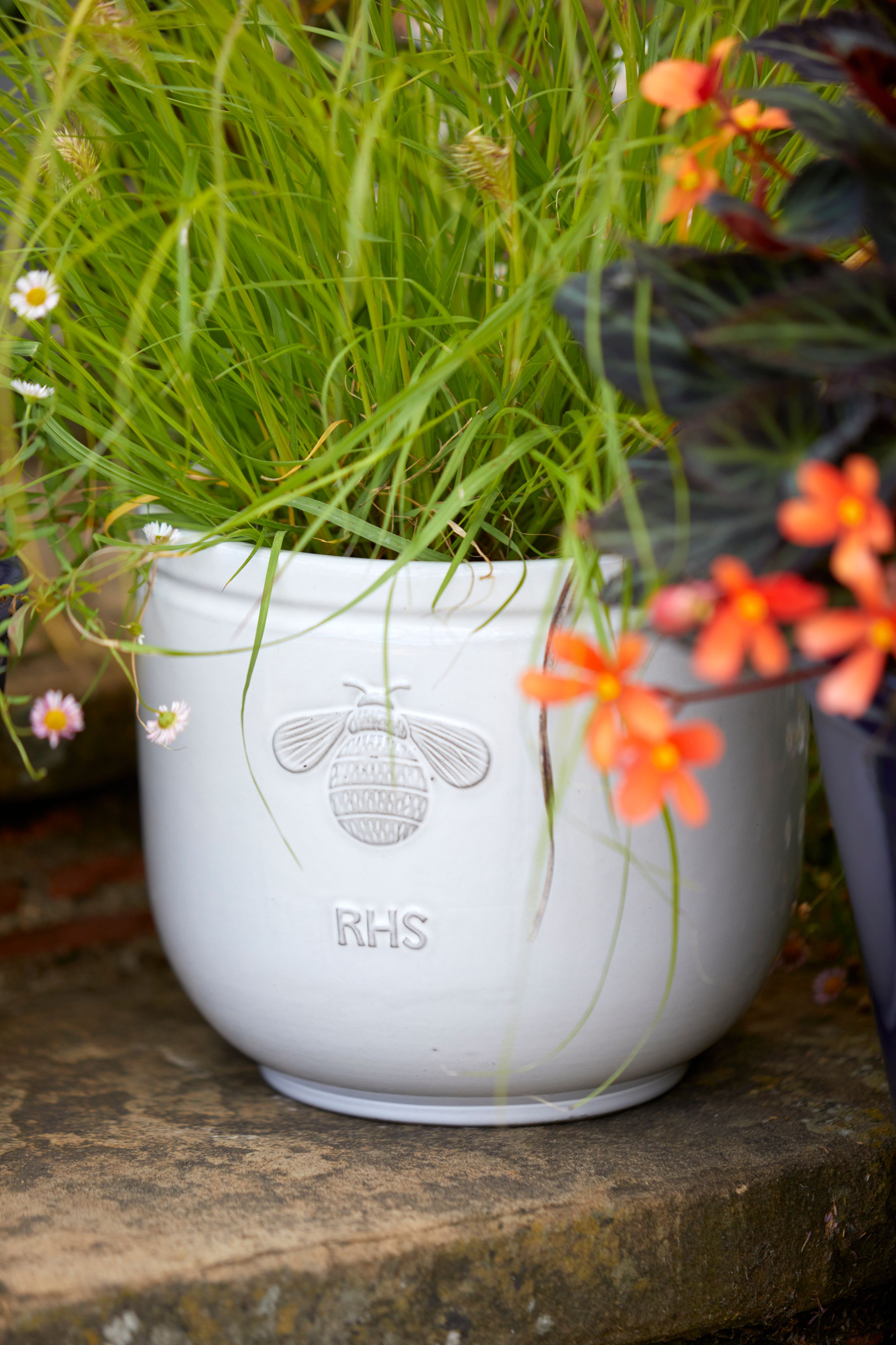 [object Object] image 2