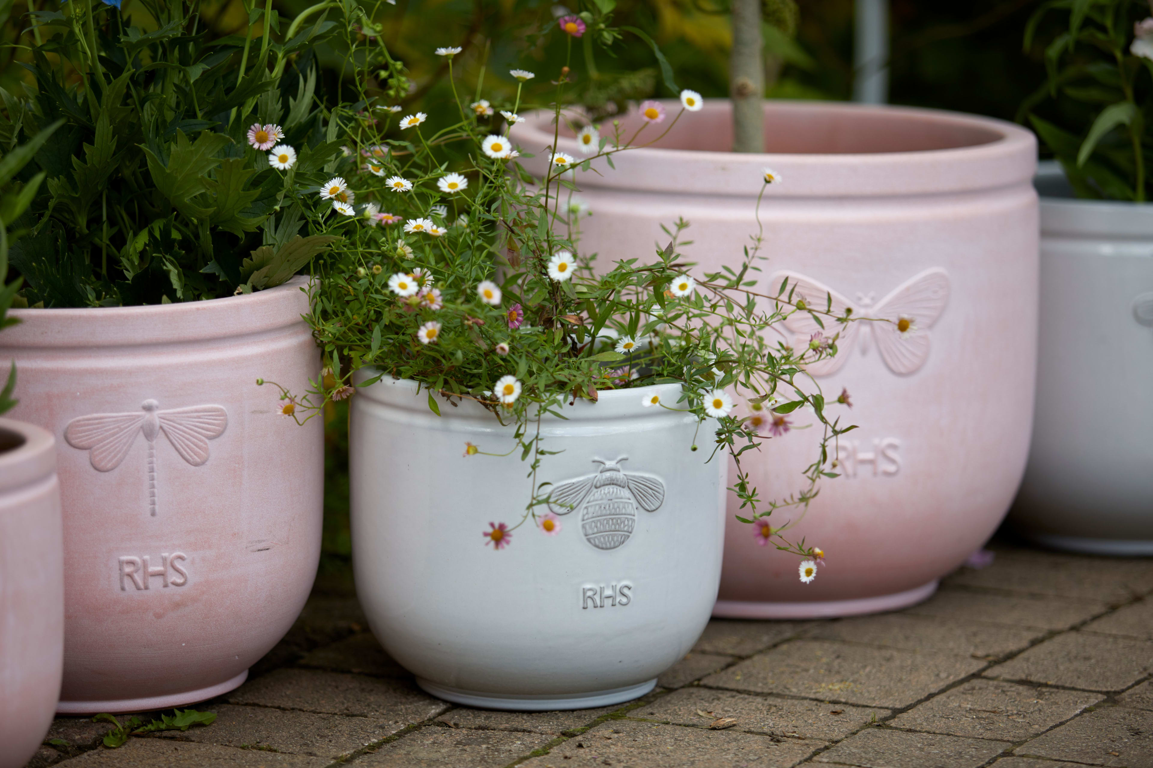 [object Object] image 3