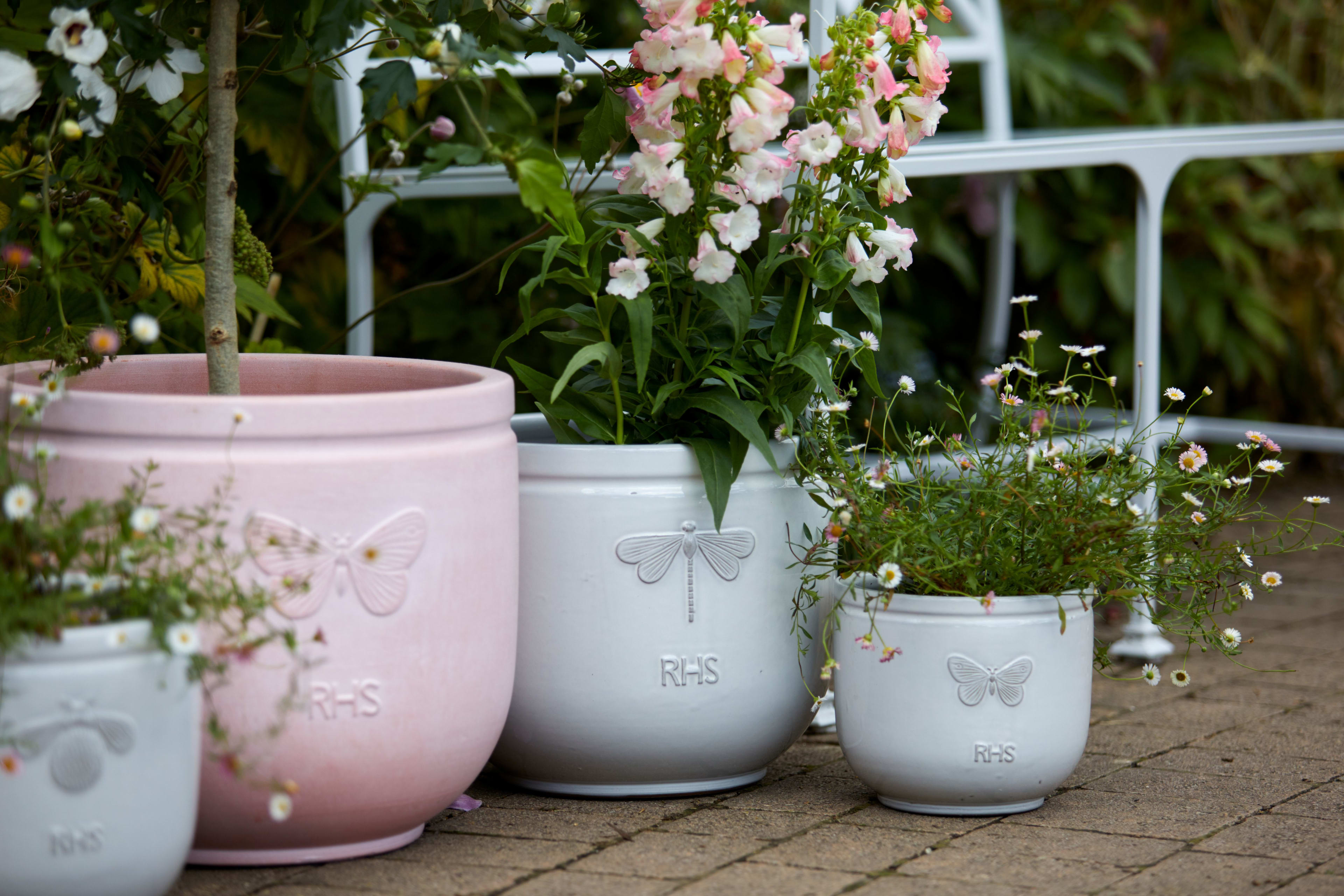 [object Object] image 5