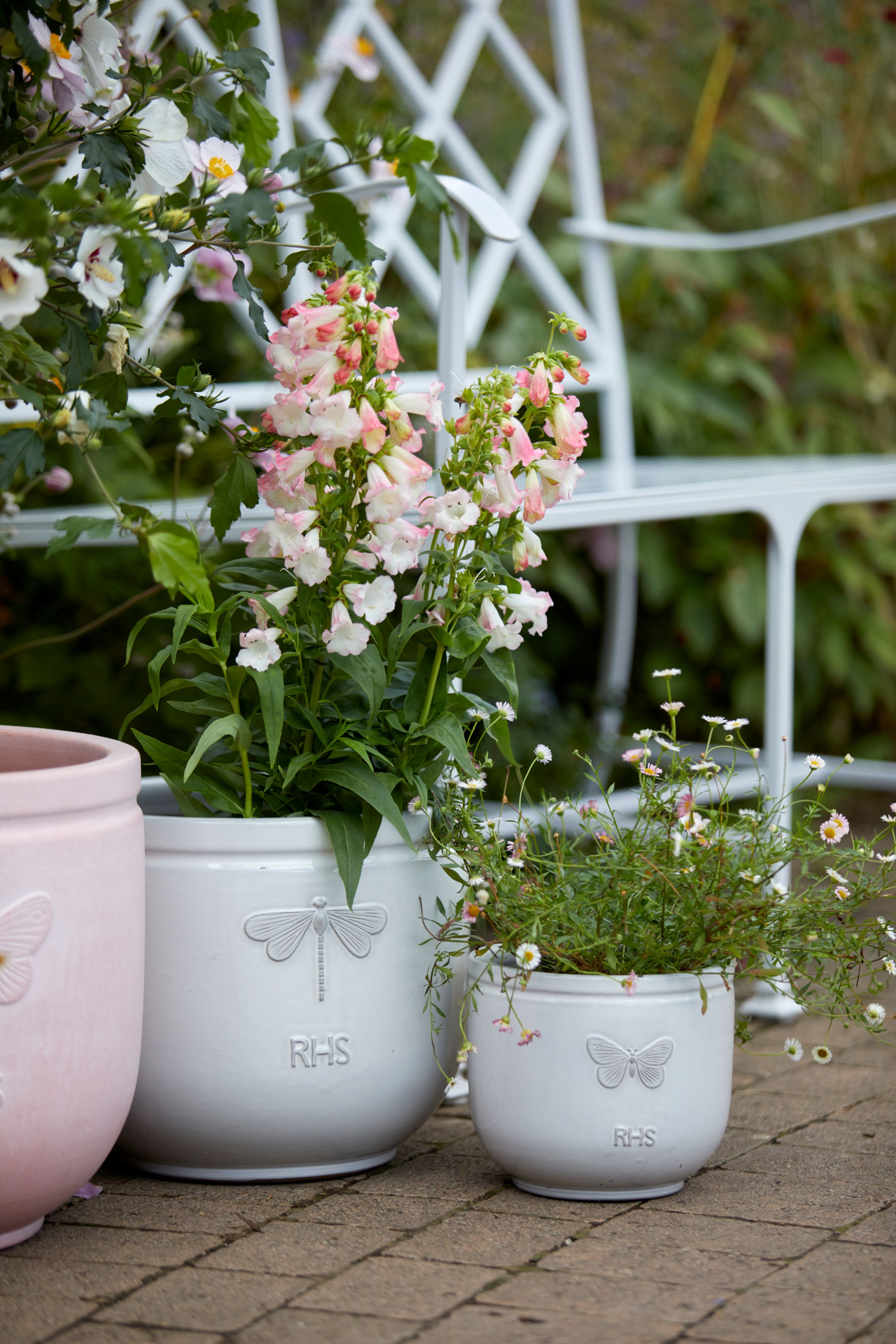 [object Object] image 6