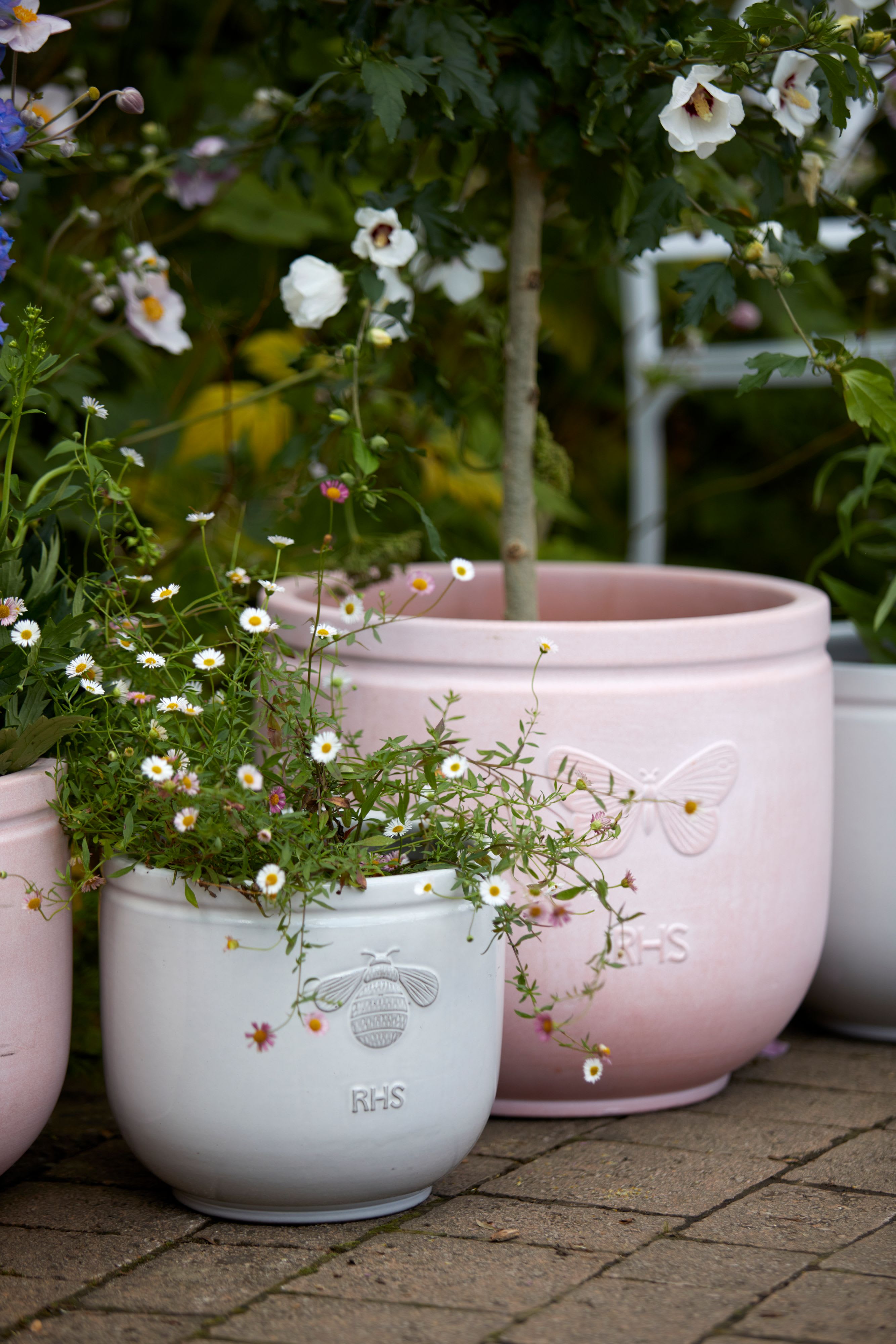 [object Object] image 7