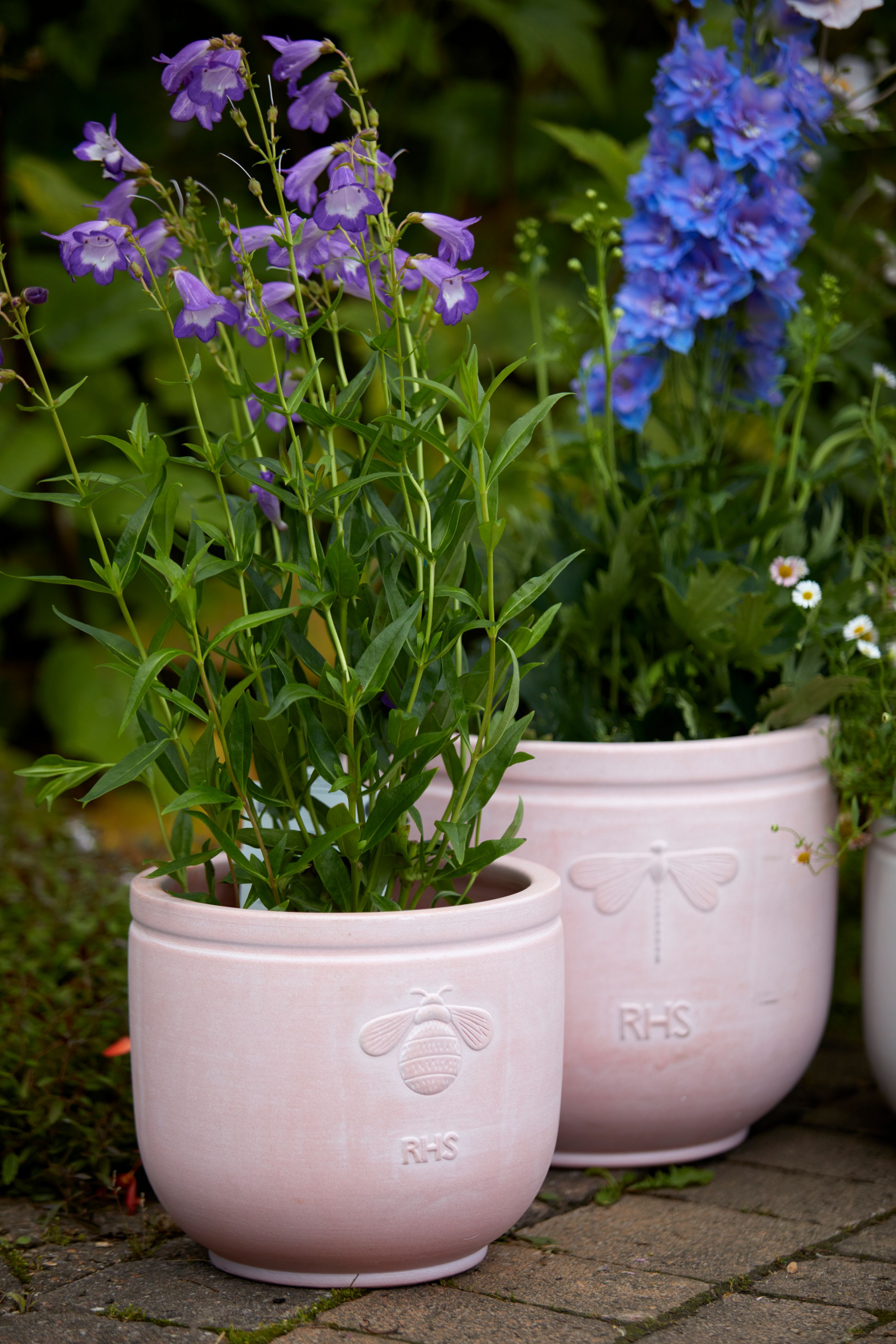 [object Object] image 8