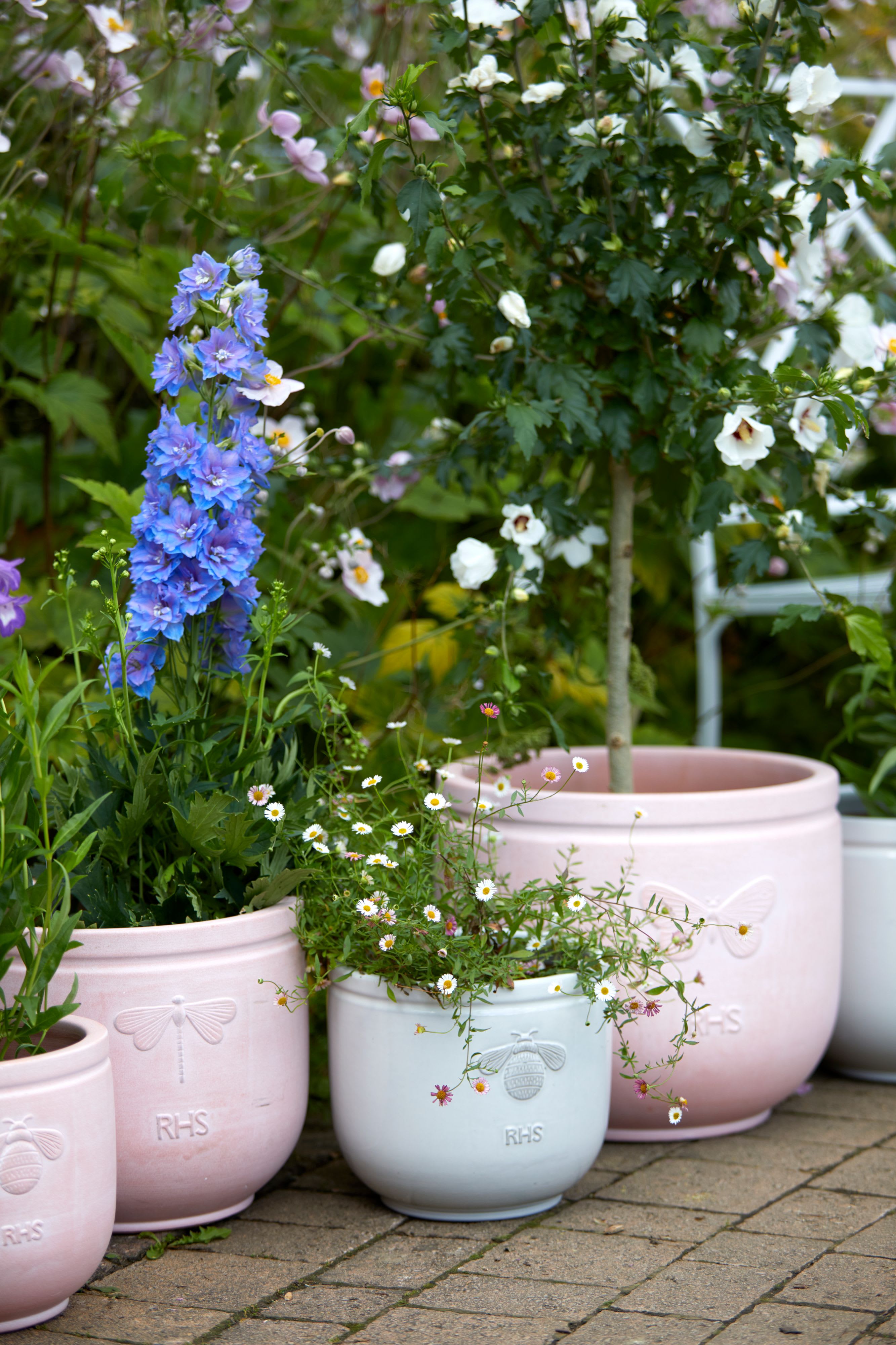 [object Object] image 9