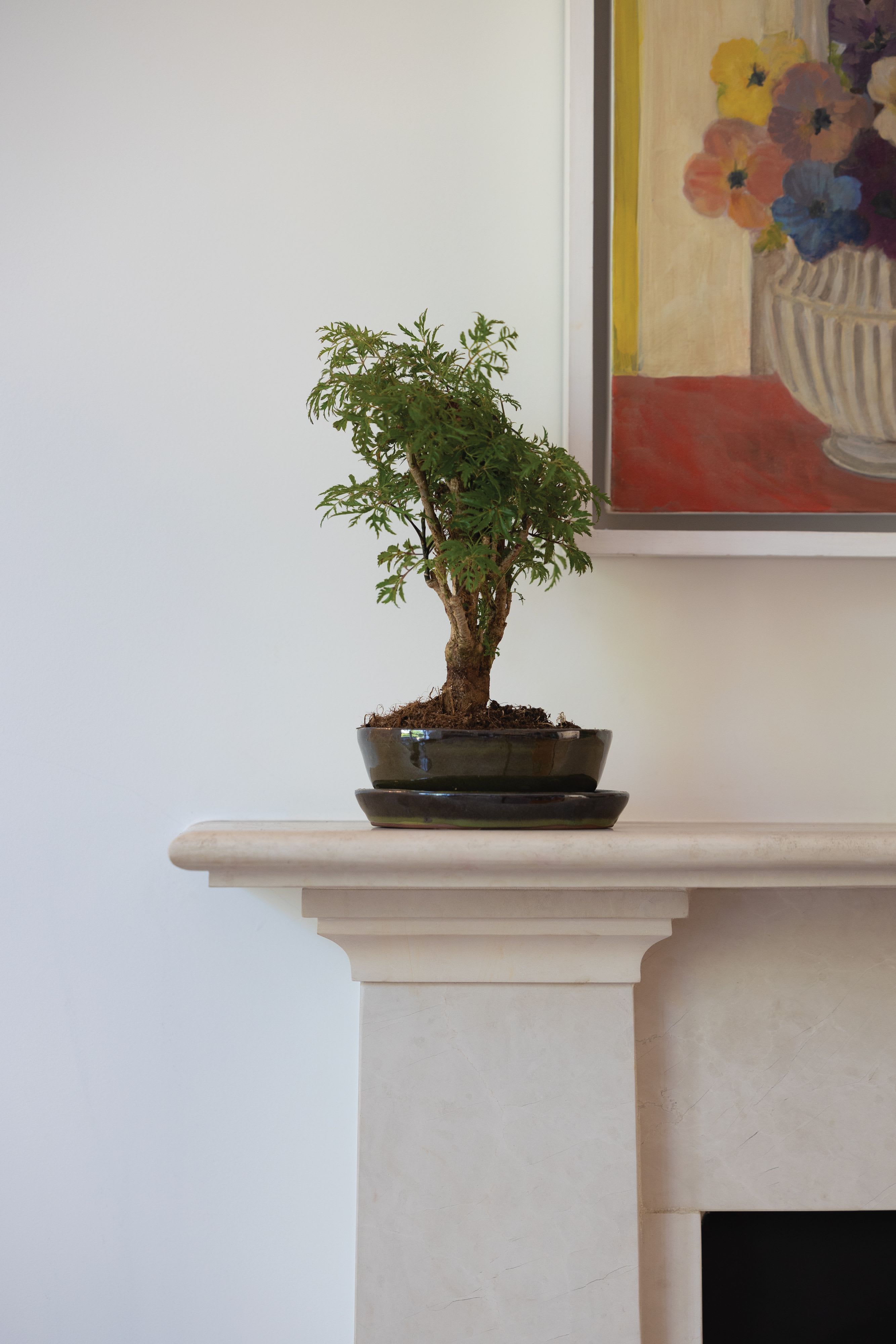 [object Object] image 1