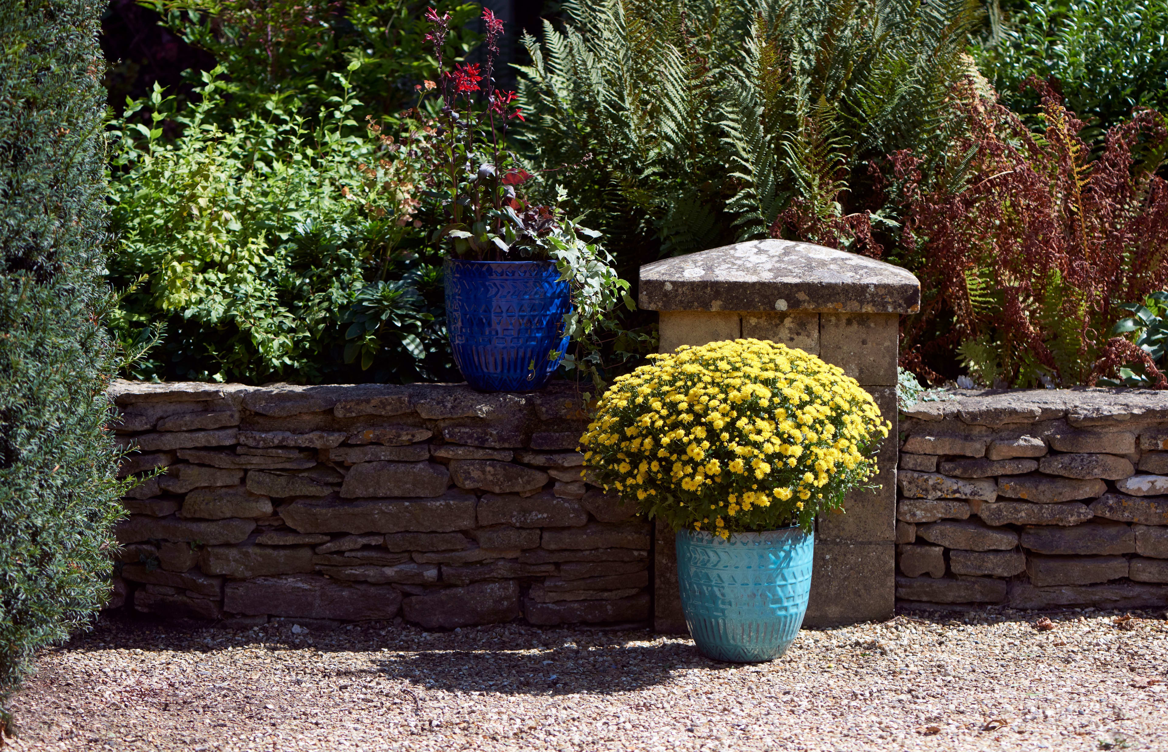 [object Object] image 9