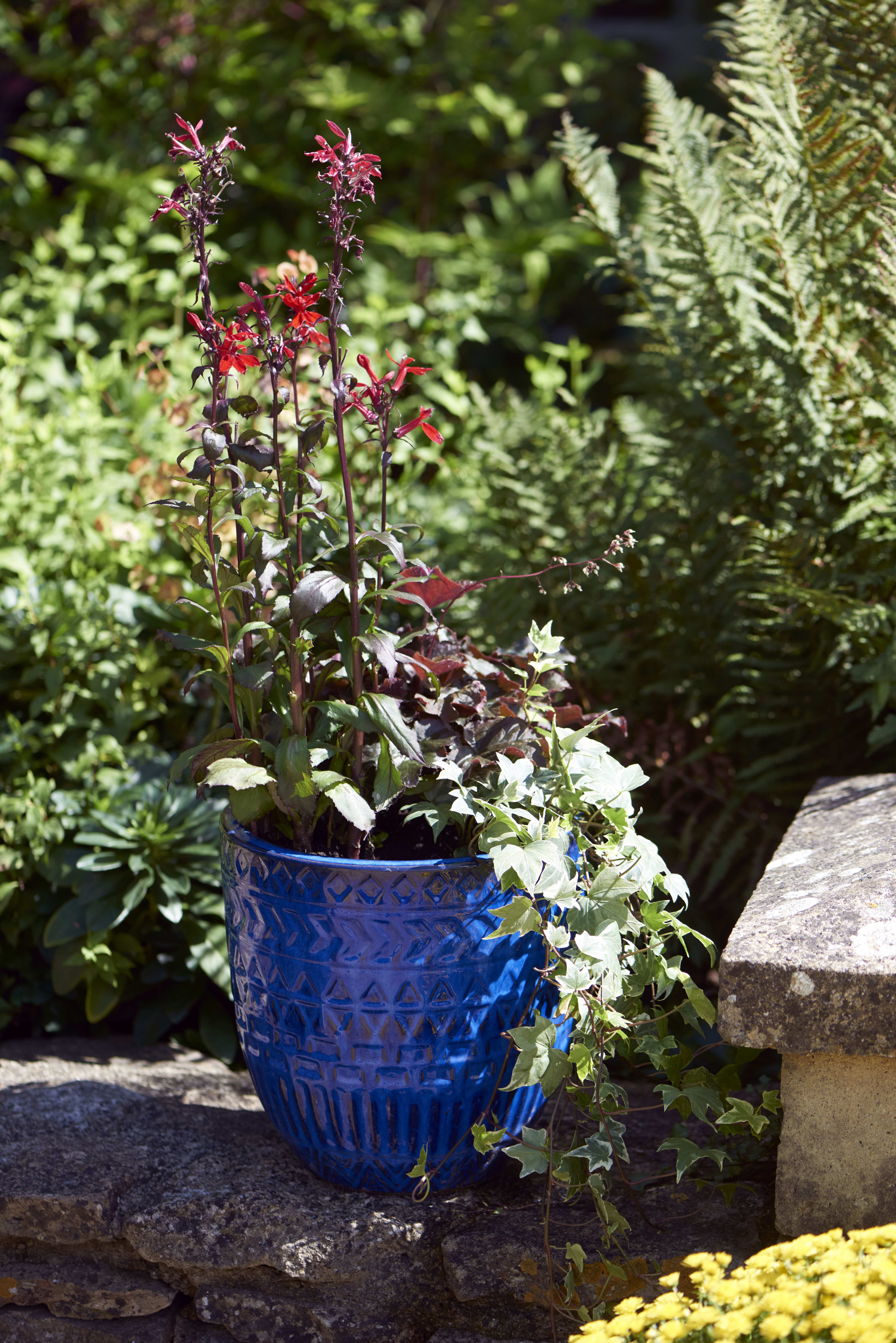 [object Object] image 10