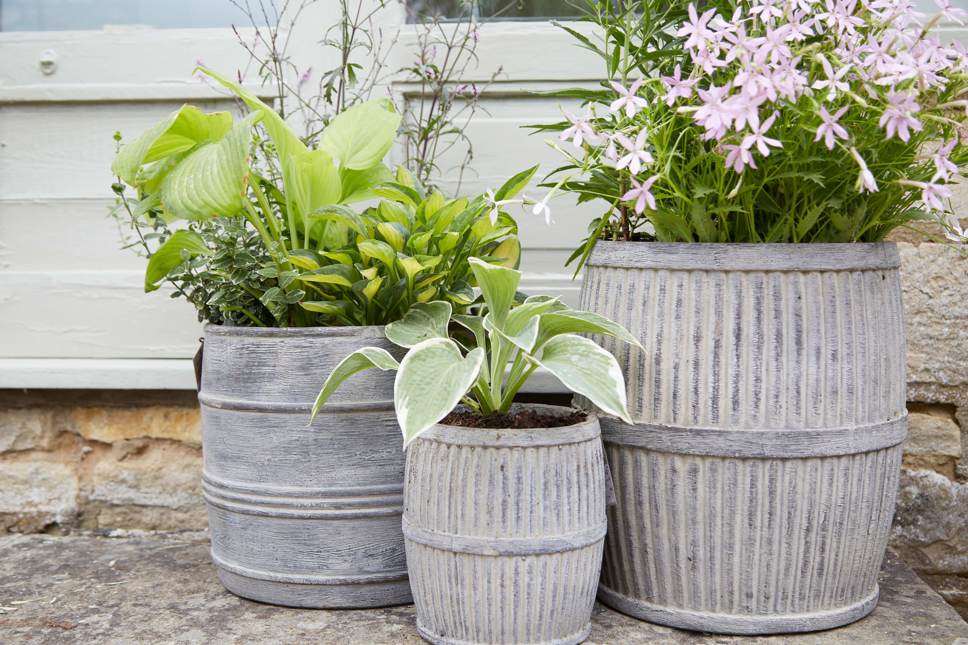 [object Object] image 5