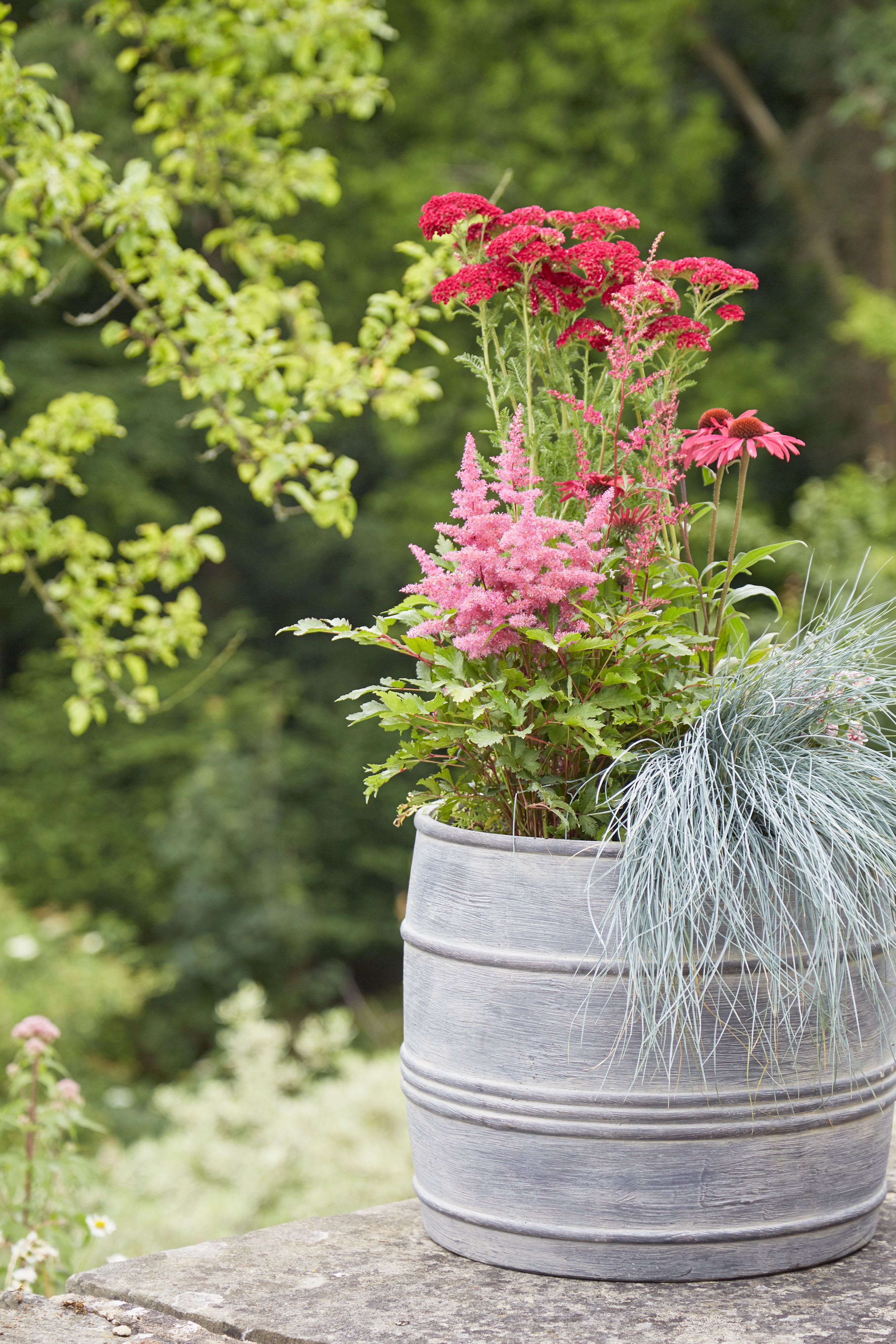 [object Object] image 6