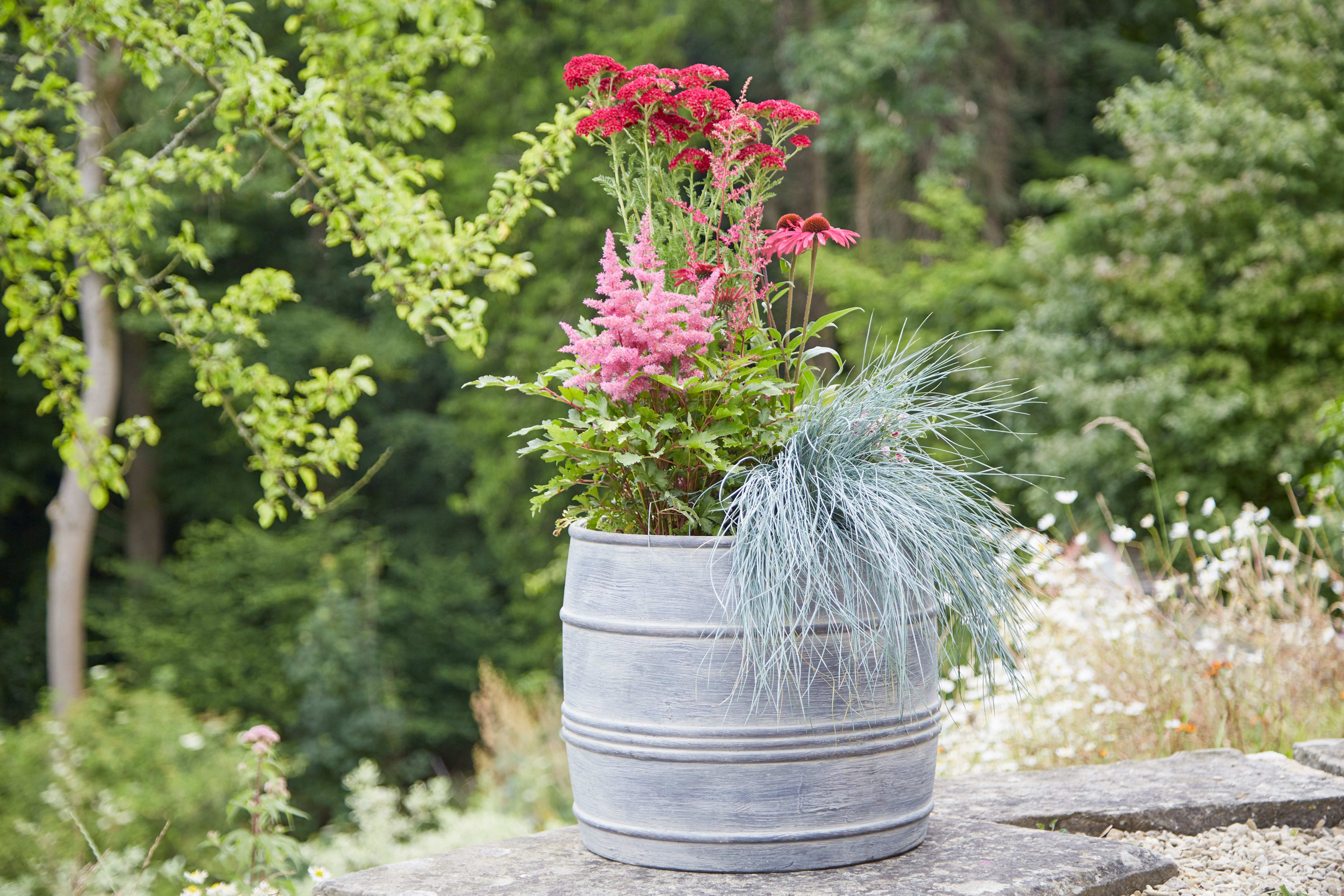 [object Object] image 7