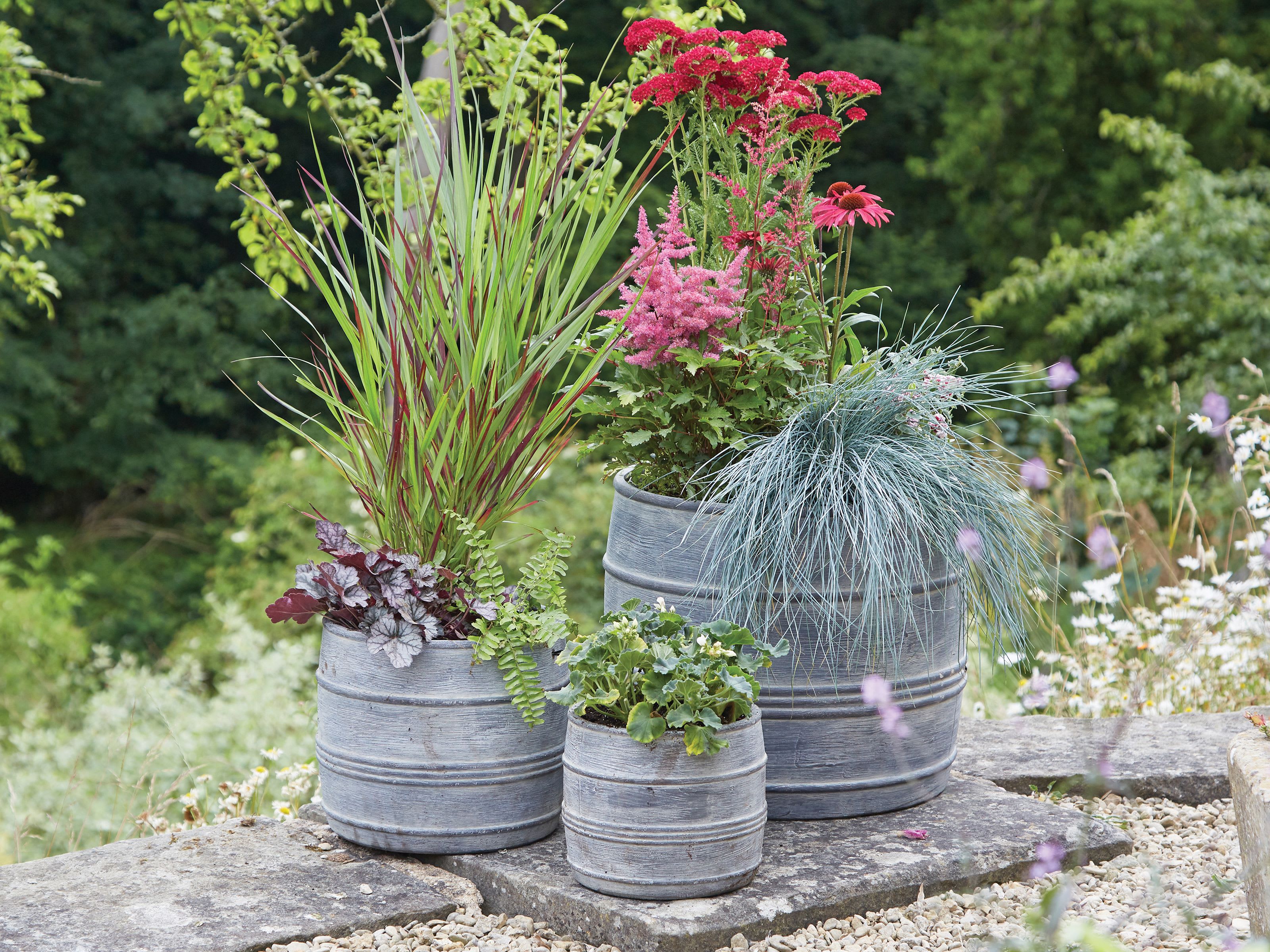 [object Object] image 8