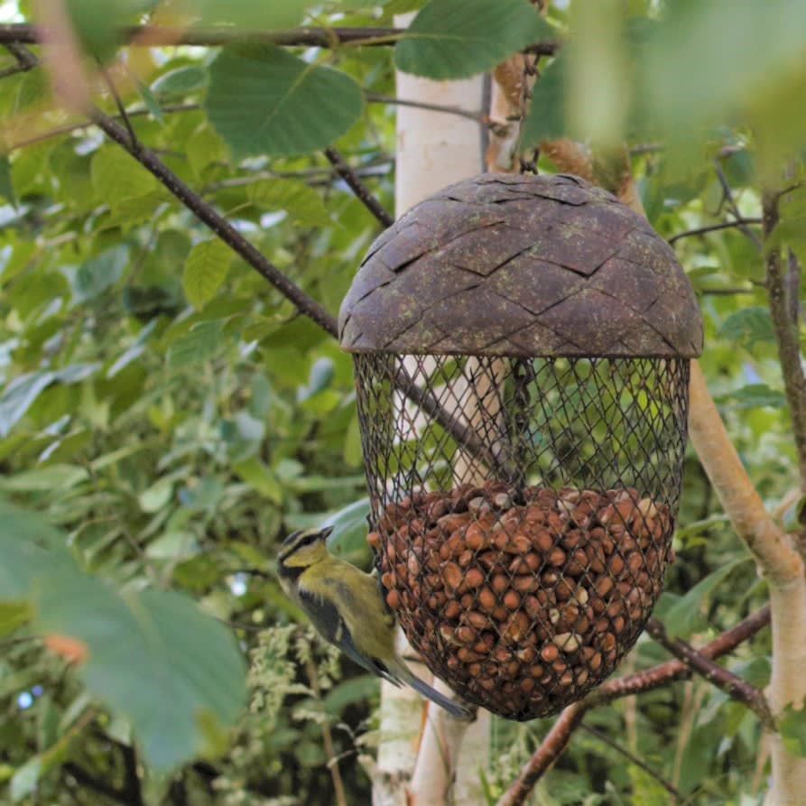 [object Object] image 1