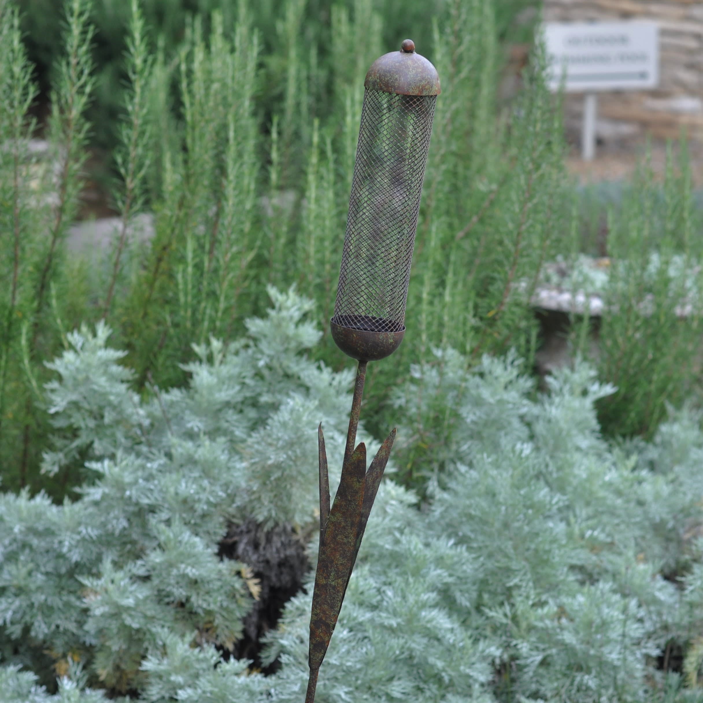 [object Object] image 1