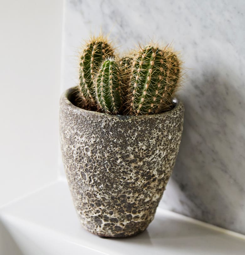 [object Object] image 9