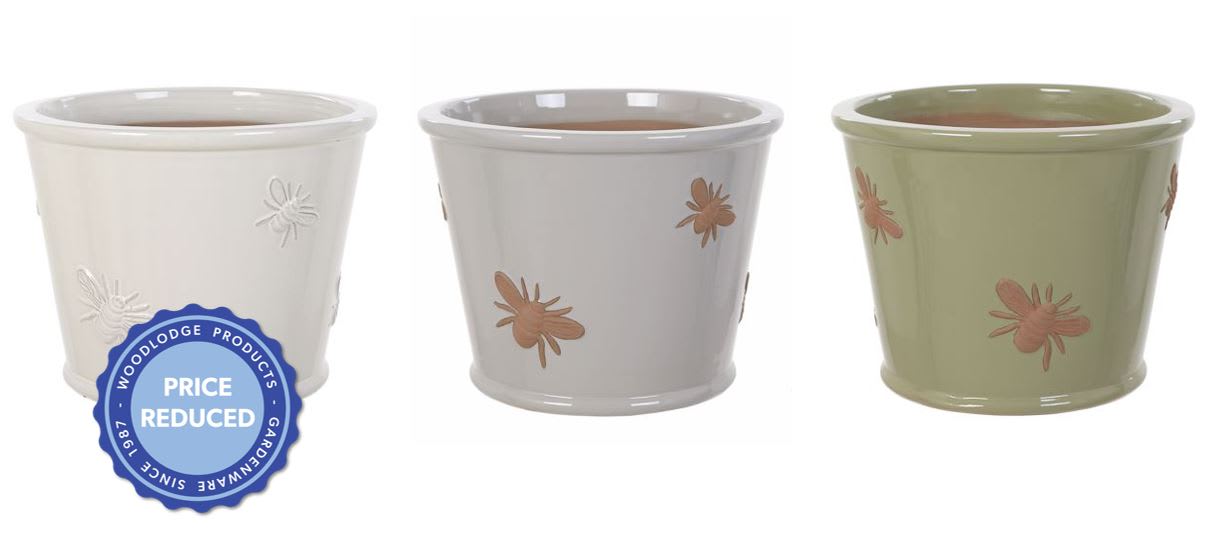 [object Object] image 0