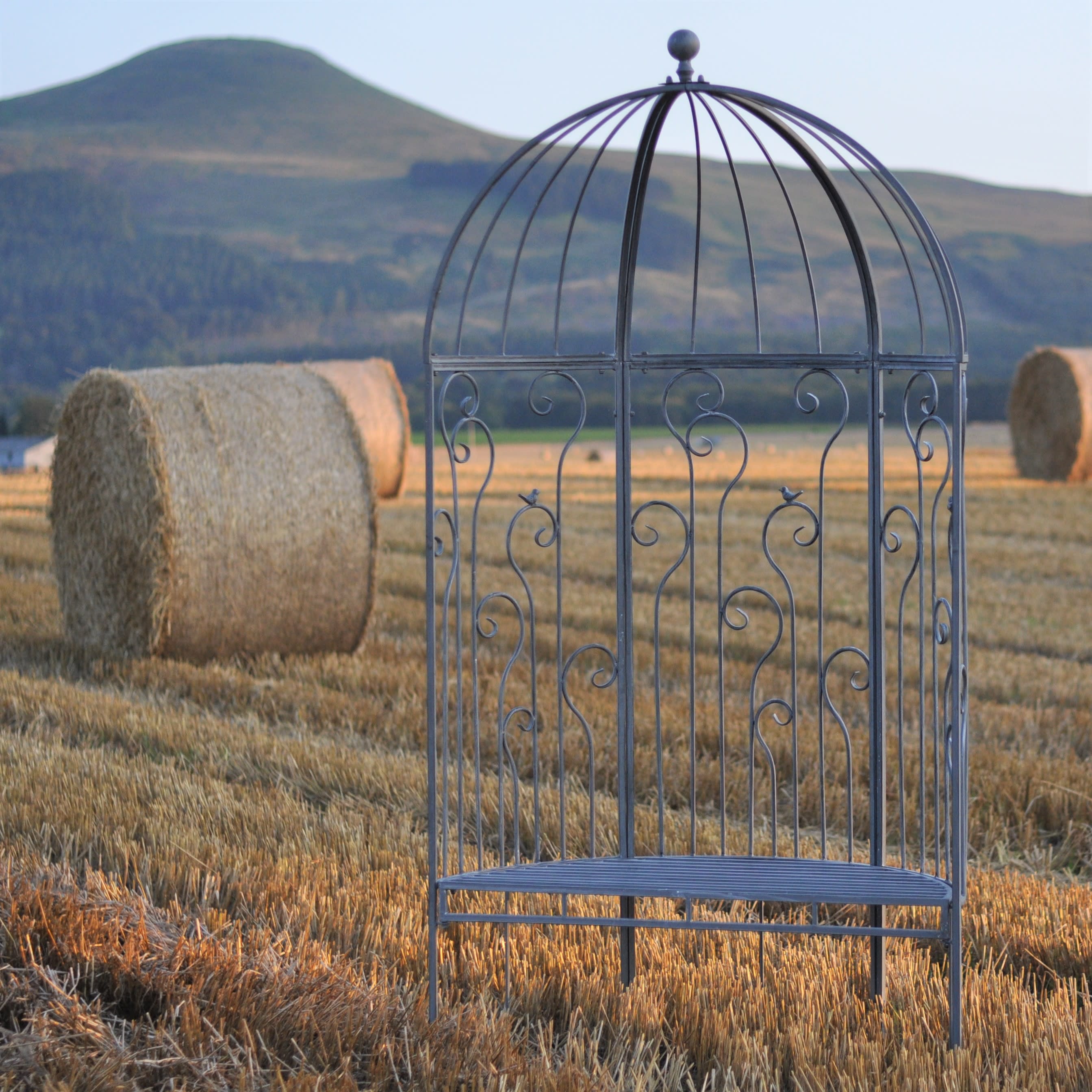 [object Object] image 1