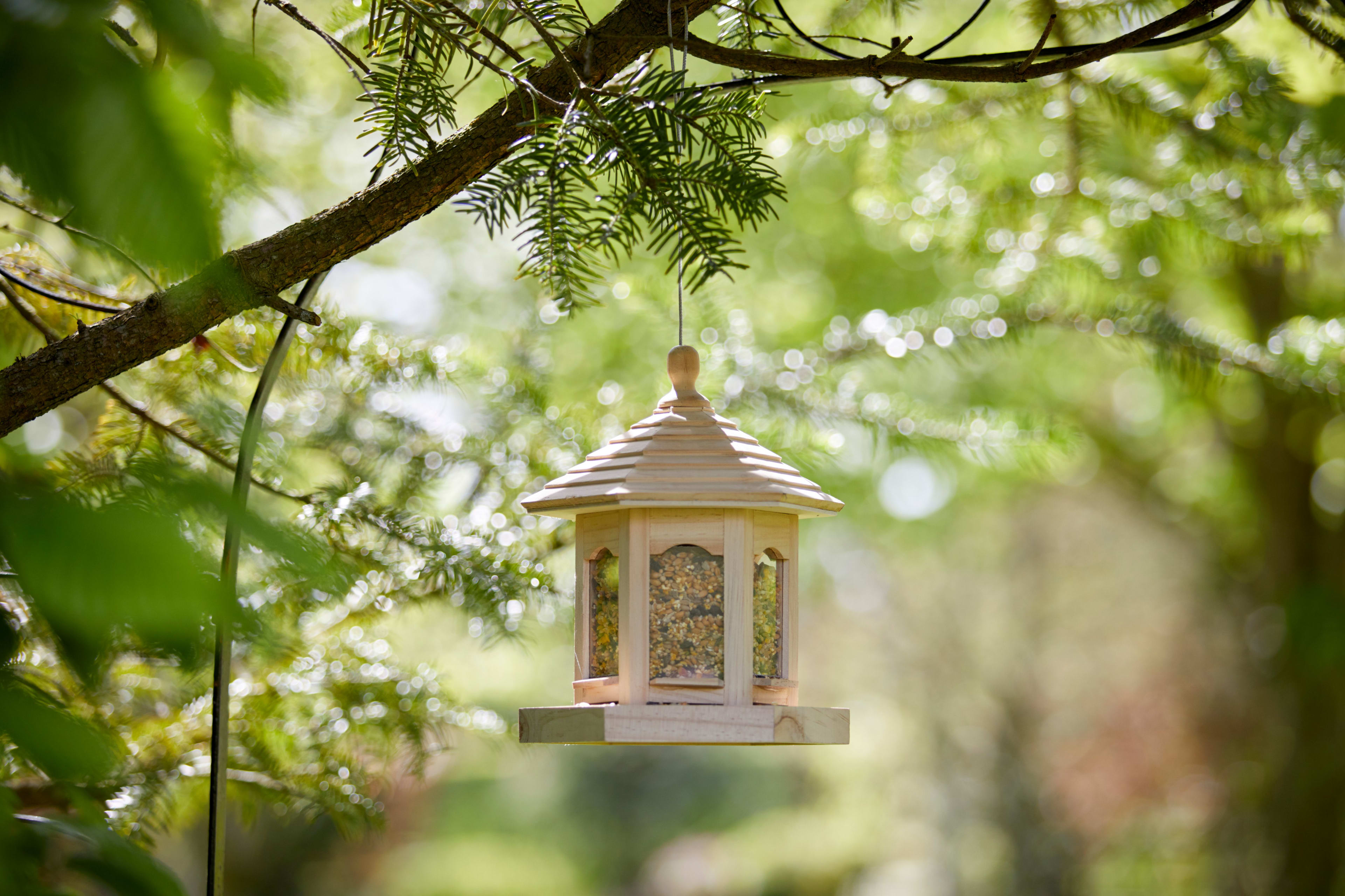 [object Object] image 2