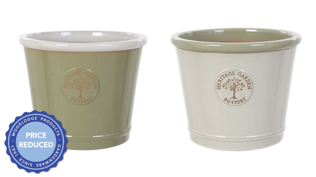 [object Object] image 0