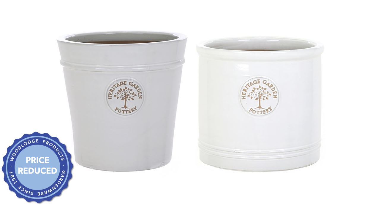 [object Object] image 0