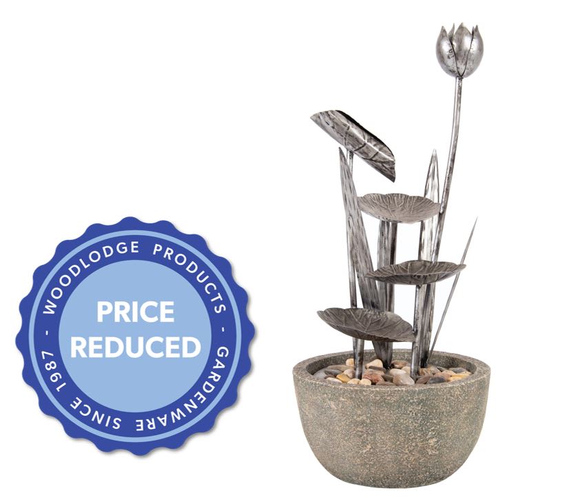 [object Object] image 6