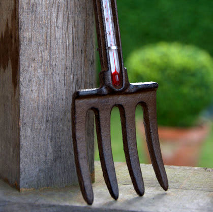 [object Object] image 1